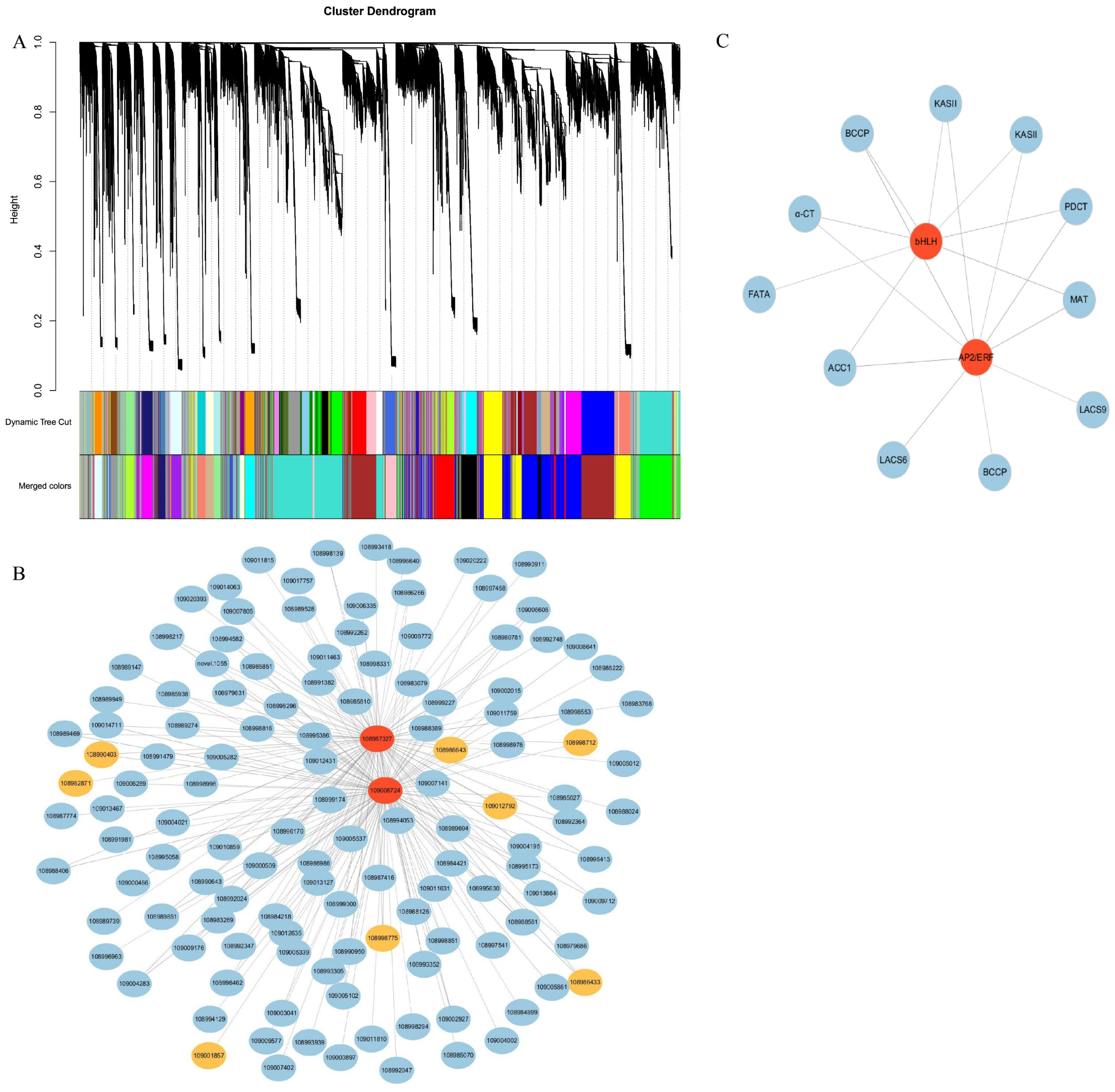 Plants 11 03207 g006