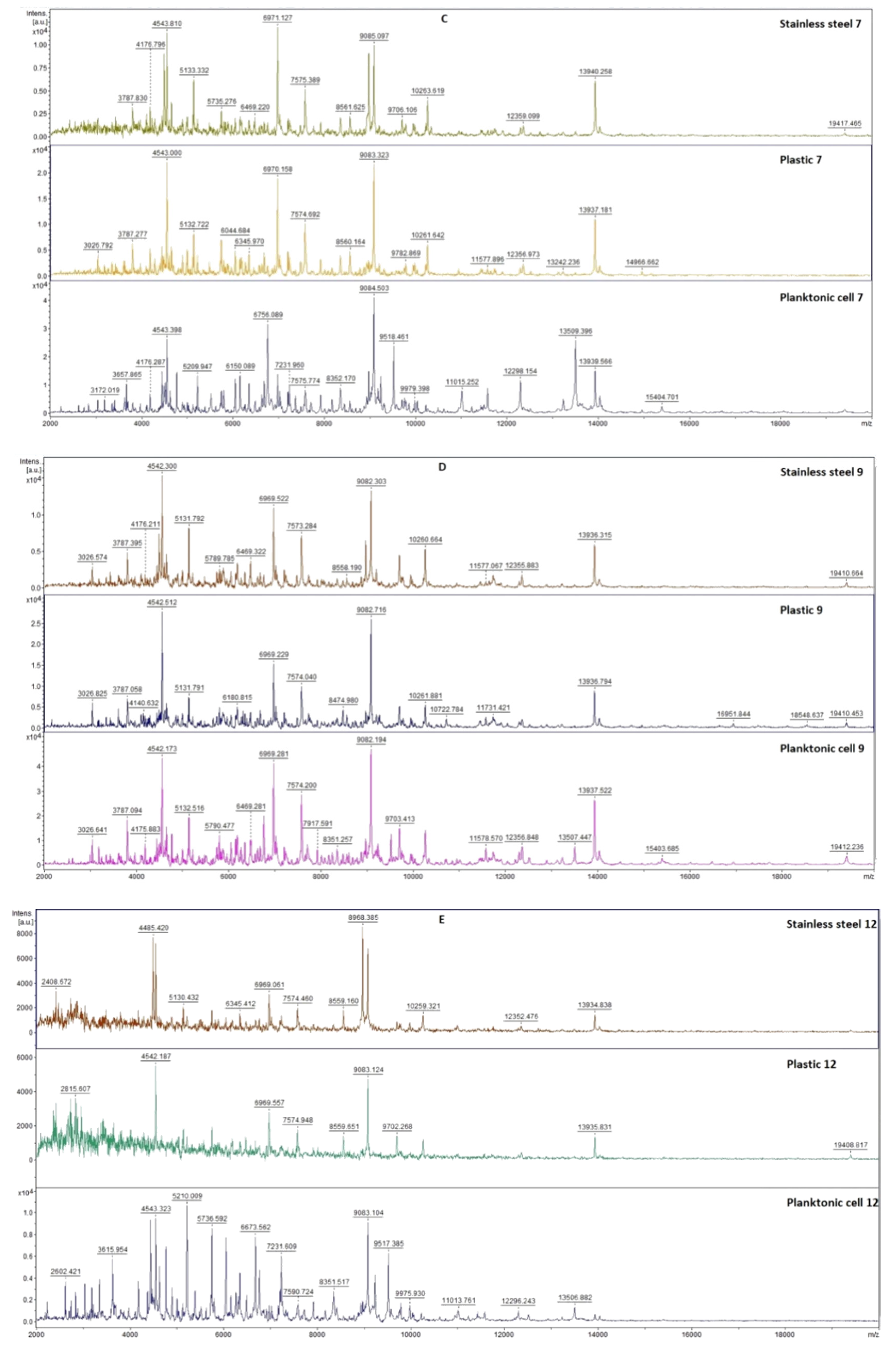 Plants 11 03213 g005b Plants 11 03213 g005b