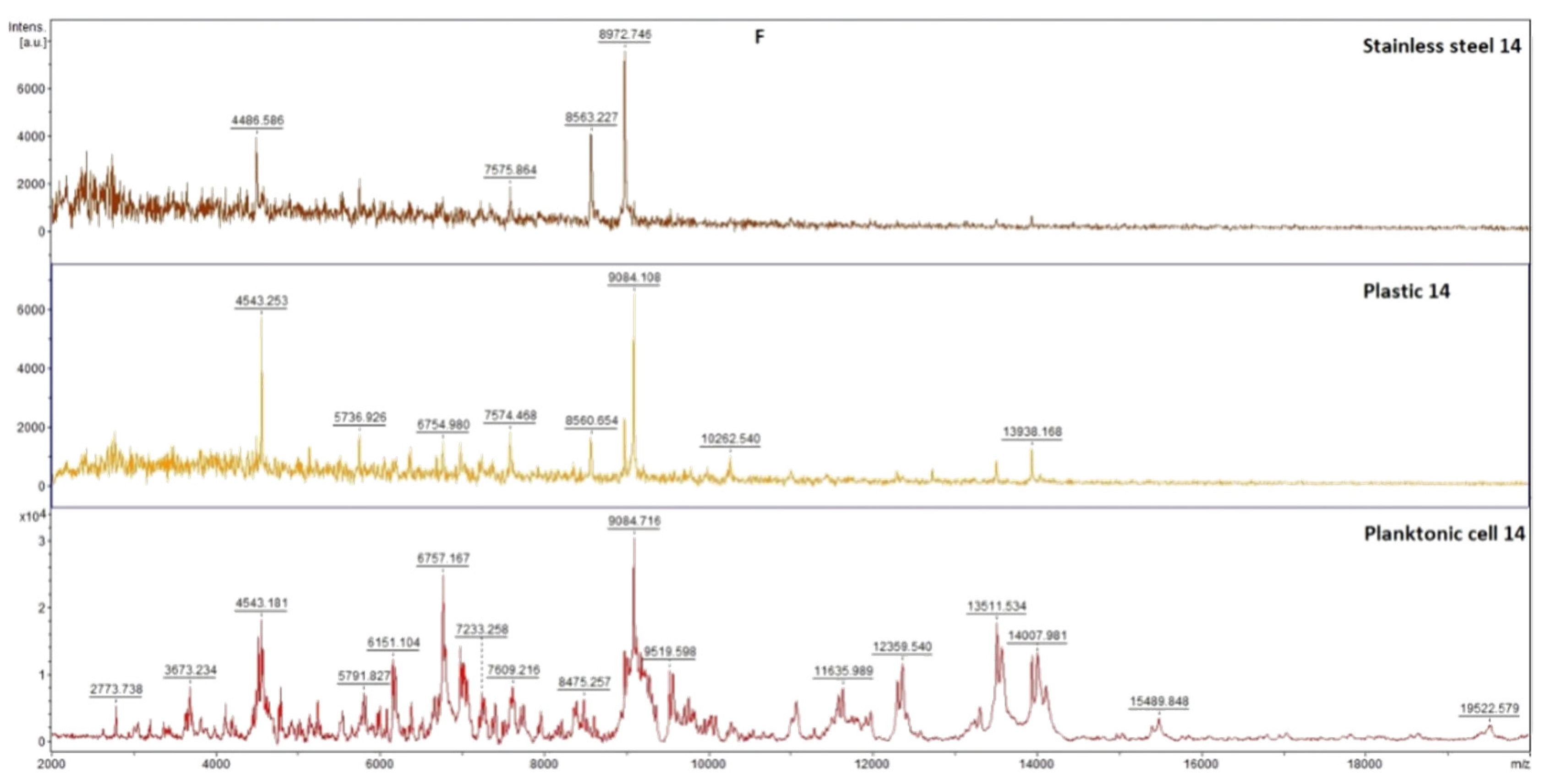 Plants 11 03213 g005c Plants 11 03213 g005c