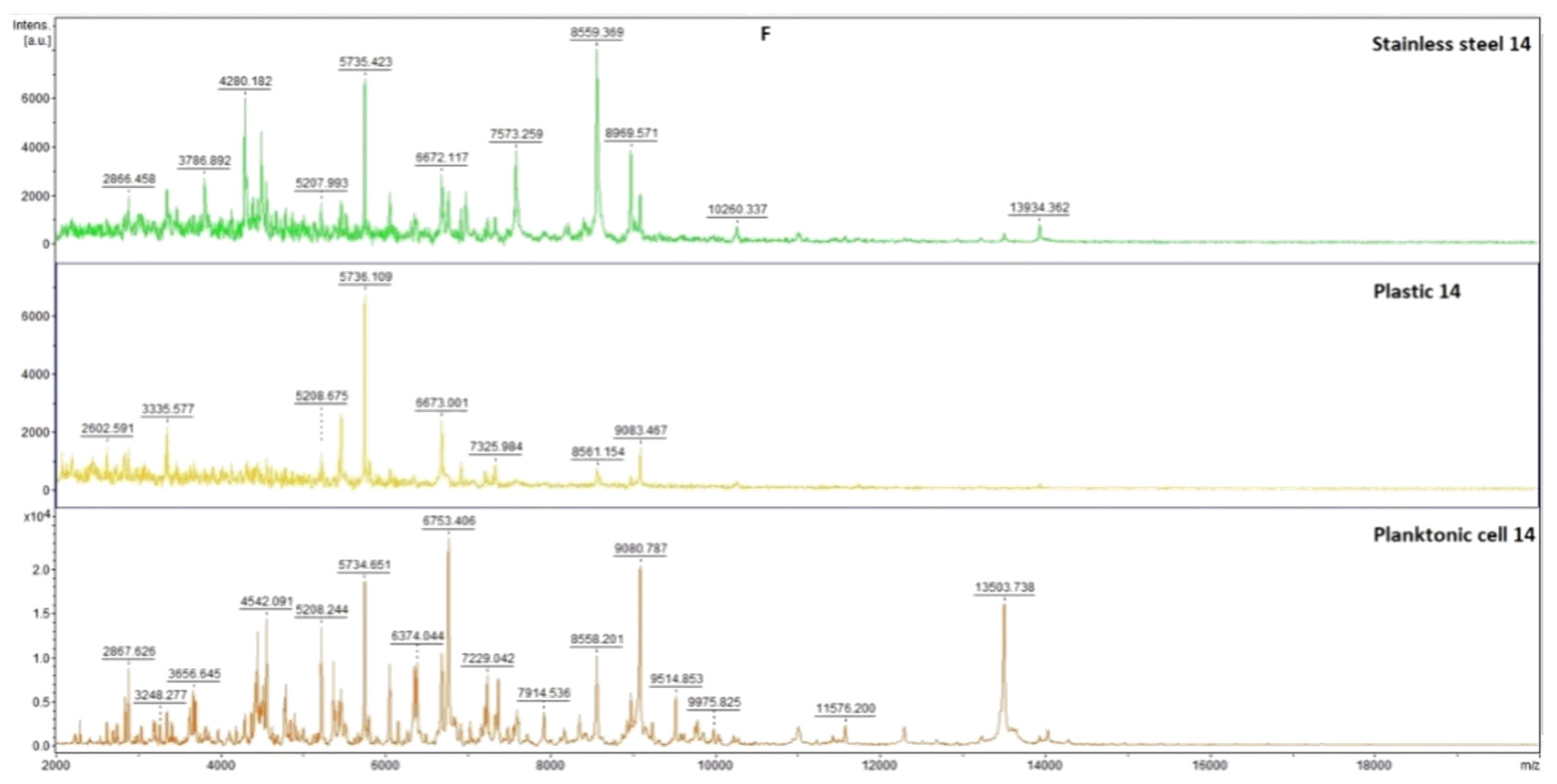 Plants 11 03213 g007c Plants 11 03213 g007c