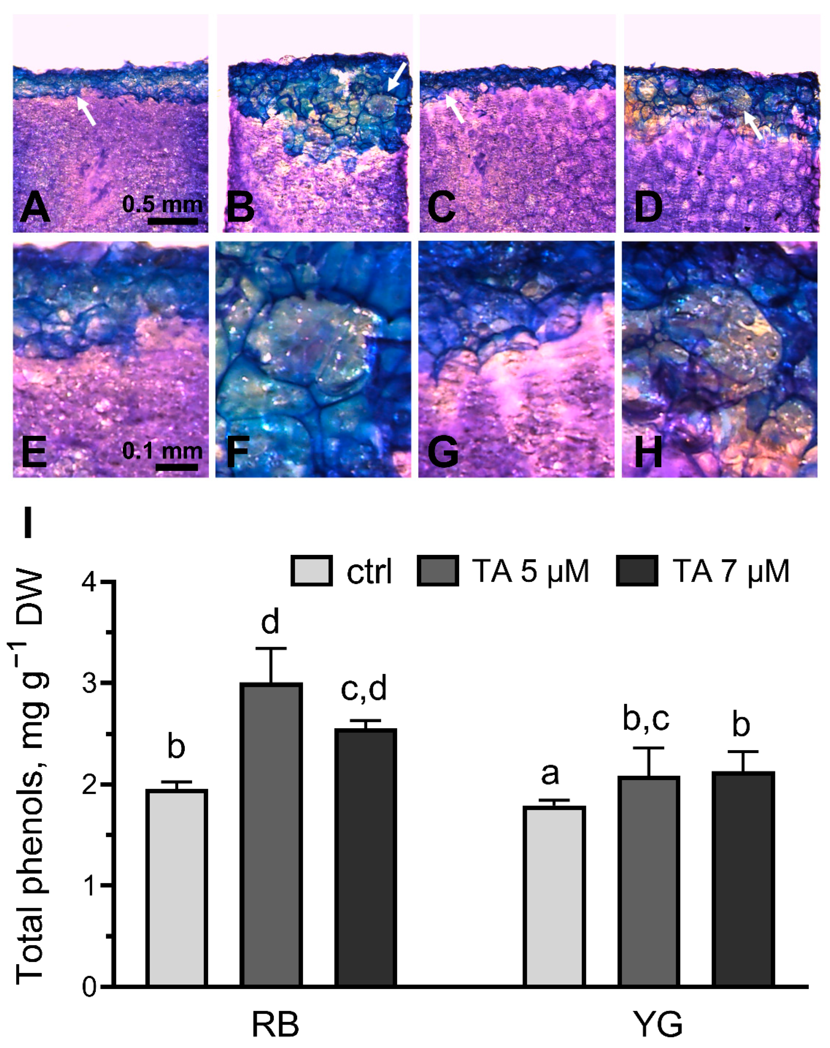 Plants 11 03216 g004 Plants 11 03216 g004