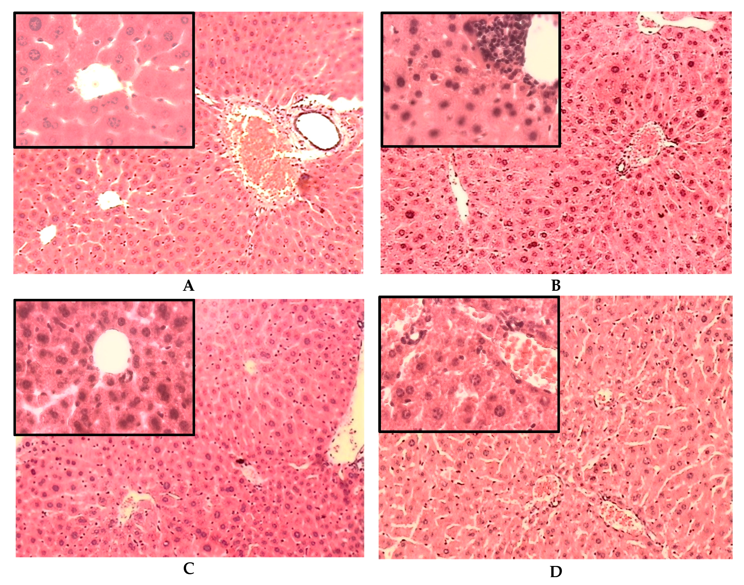 Plants 11 03224 g003a