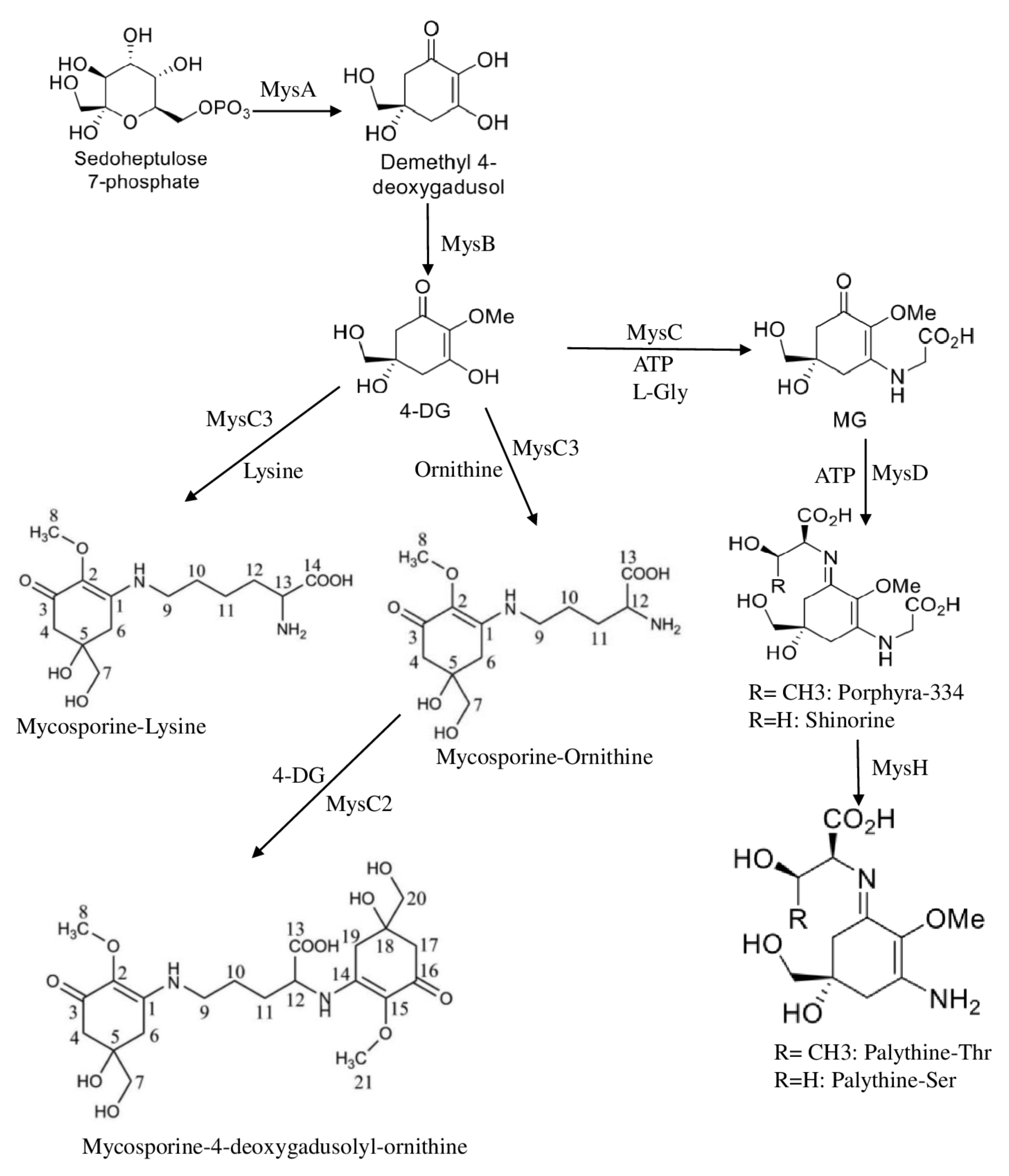 Plants 11 03225 g001