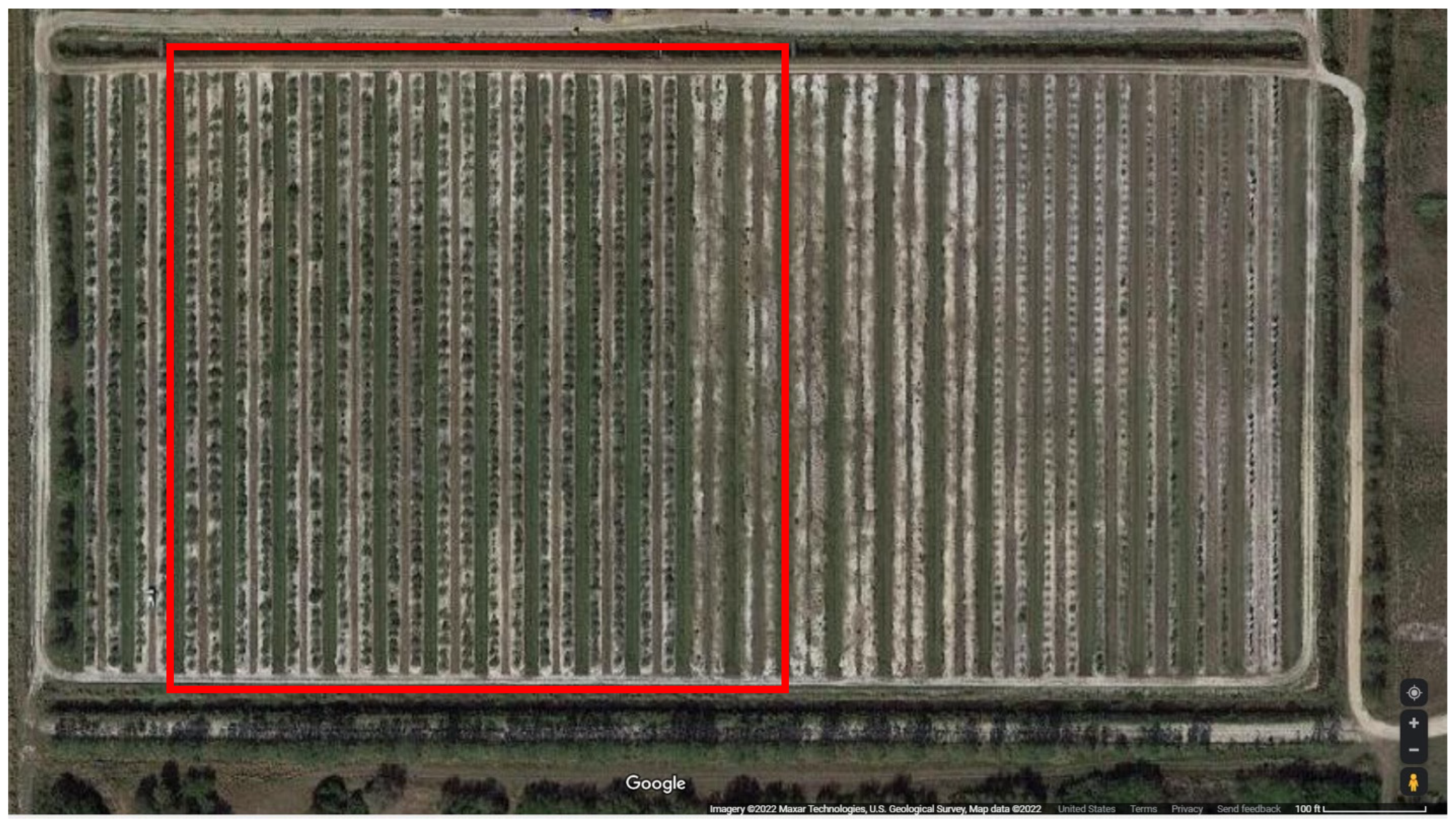 Plants 11 03226 g006