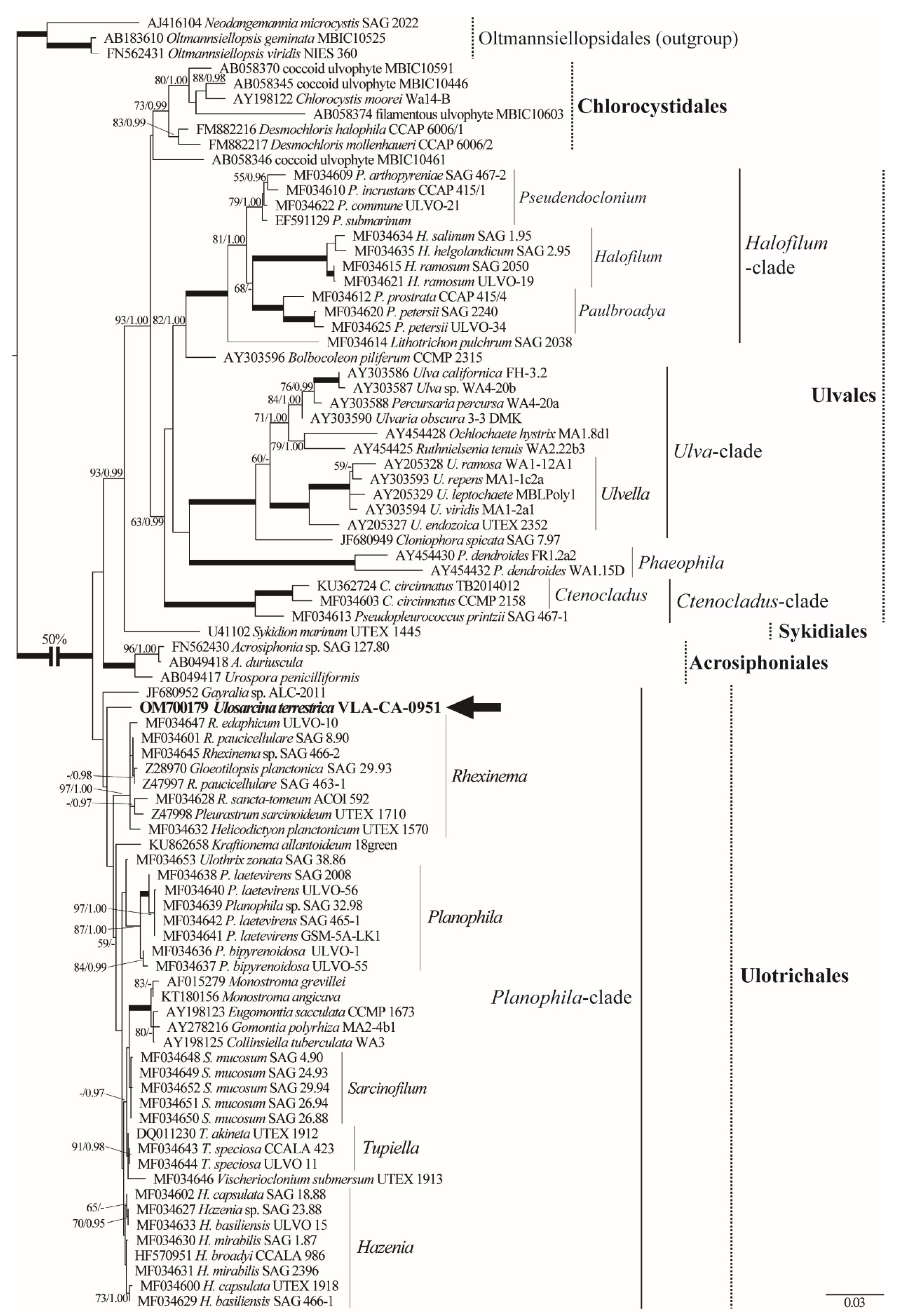 Plants 11 03228 g002