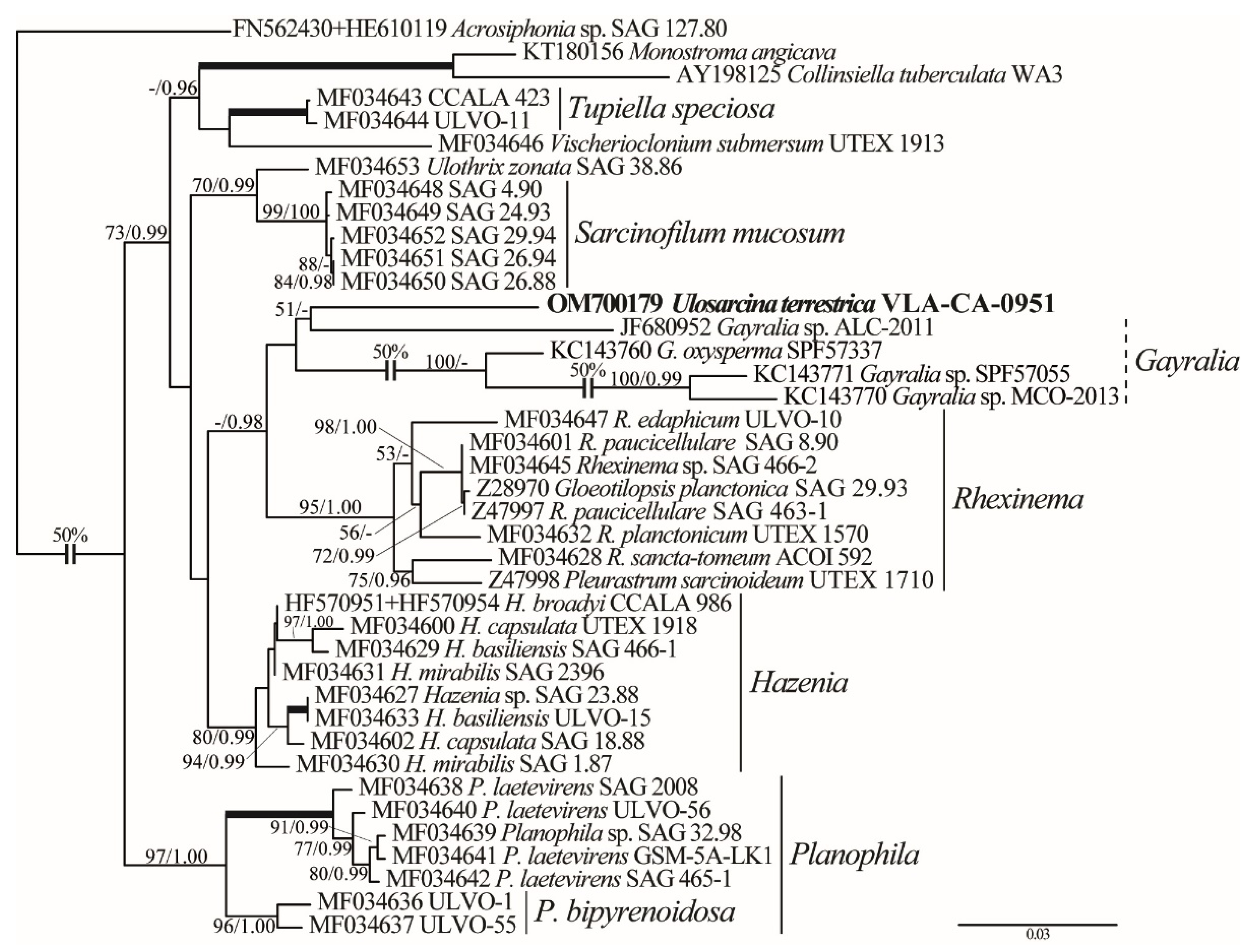 Plants 11 03228 g003