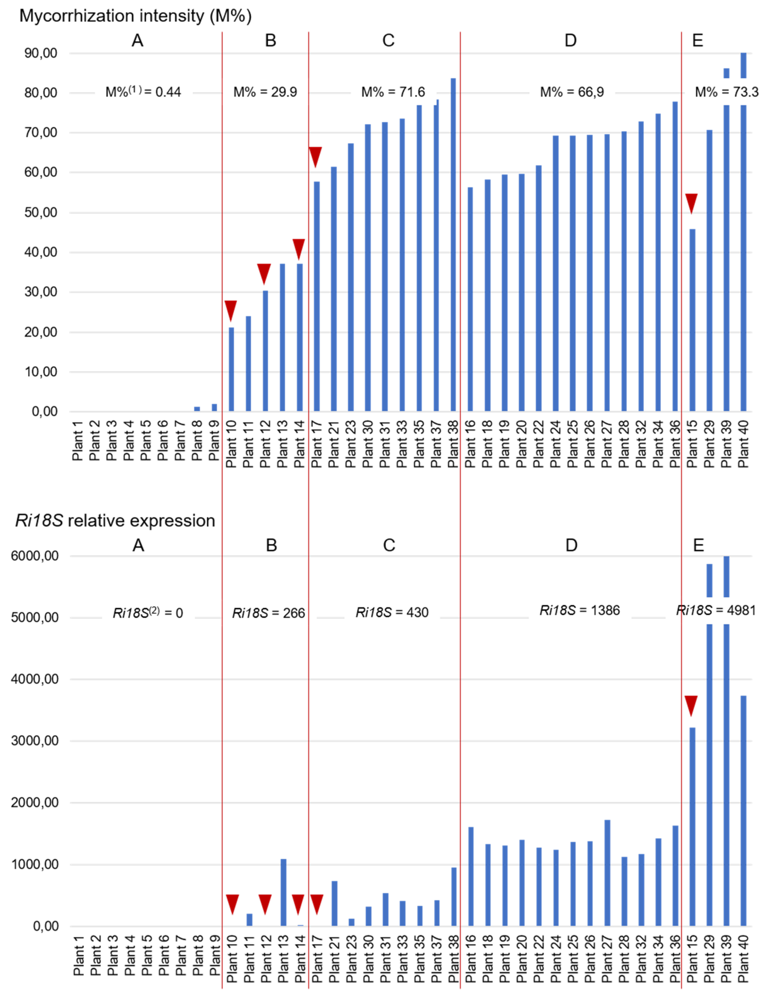 Plants 11 03237 g001
