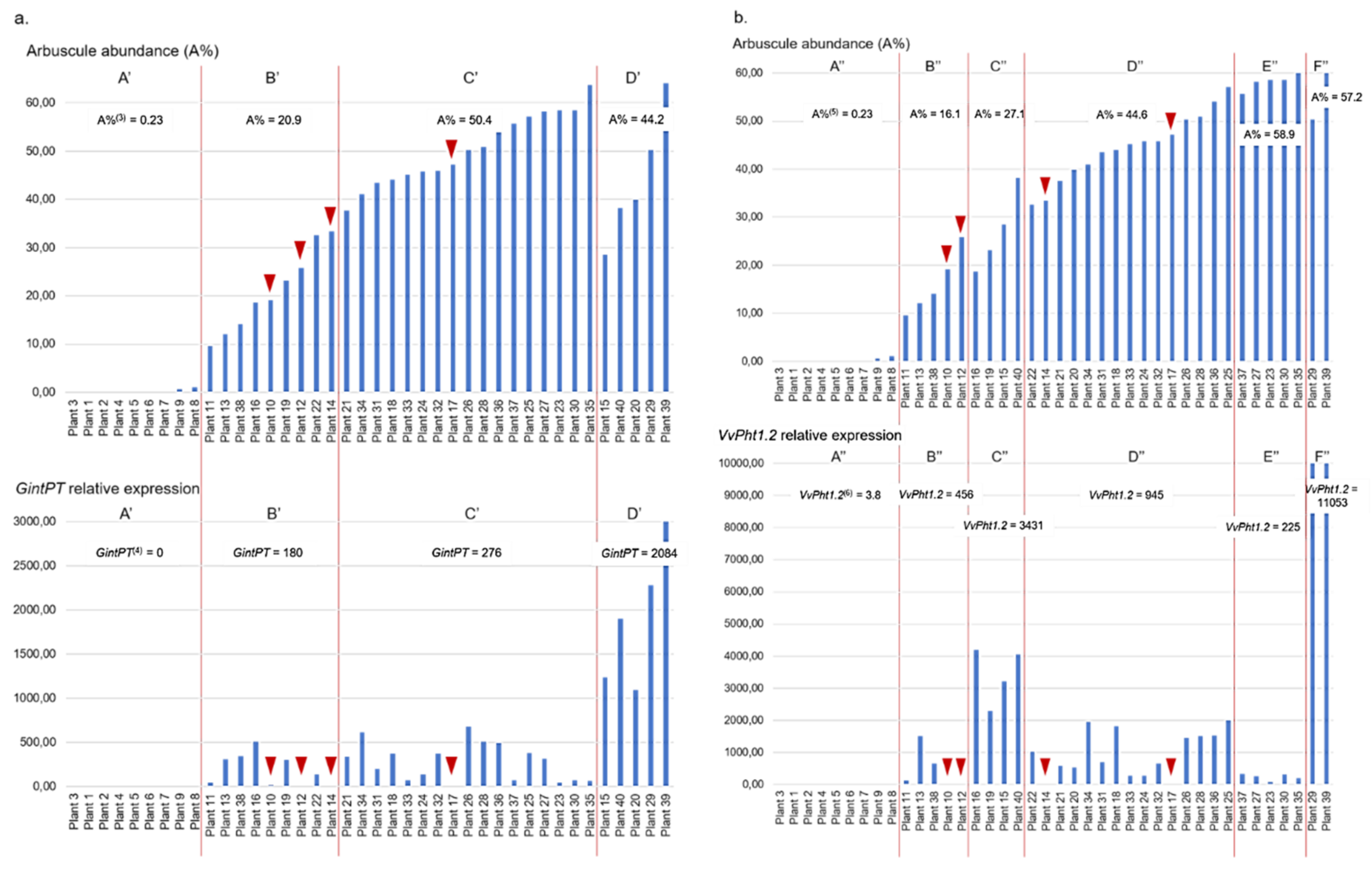 Plants 11 03237 g002
