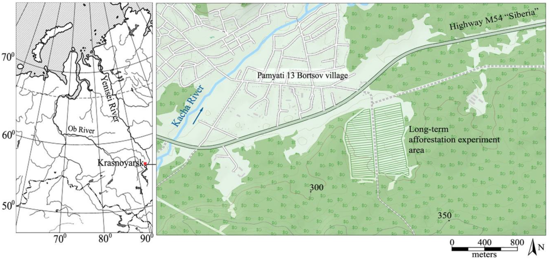 Plants 11 03240 g002