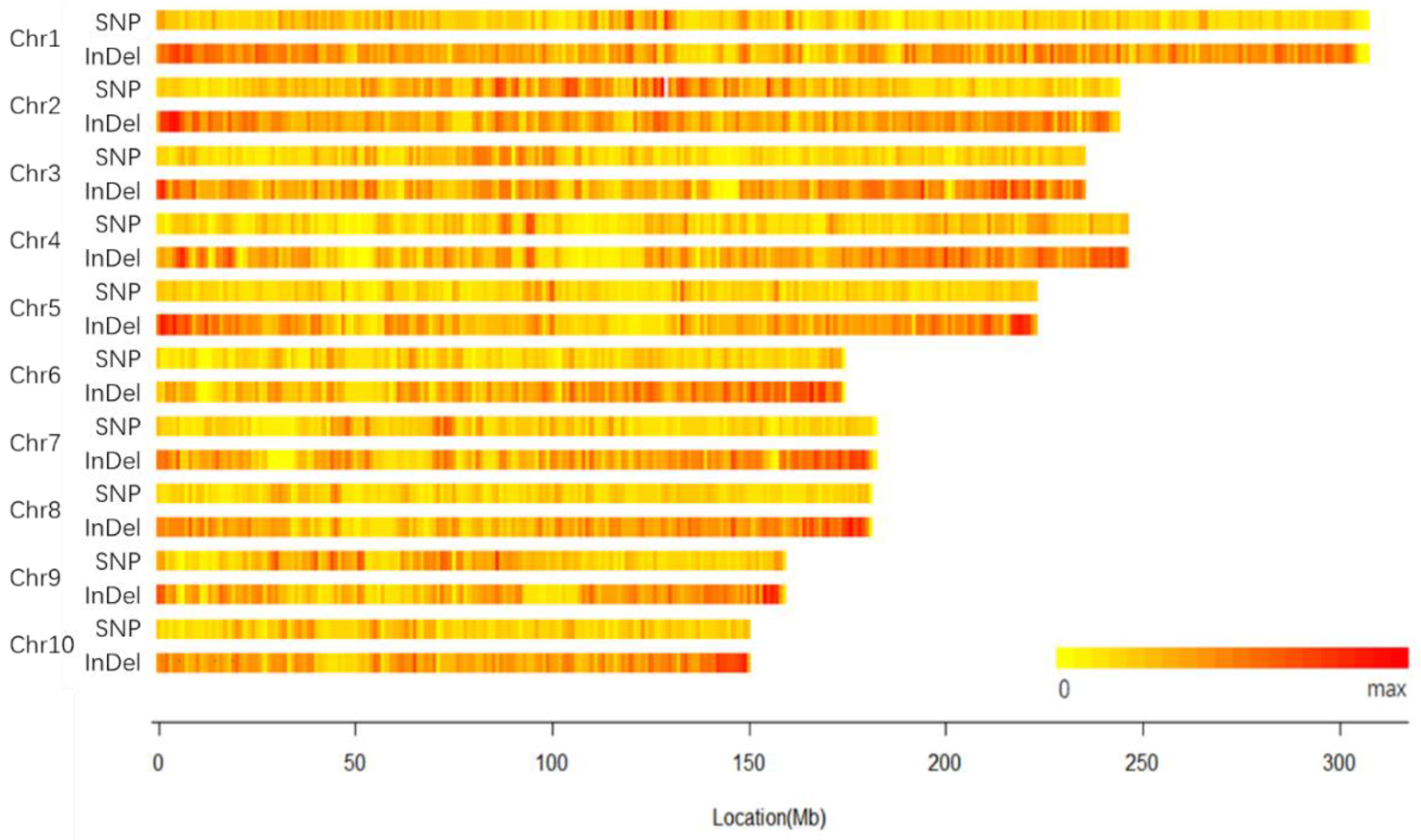 Plants 11 03242 g001