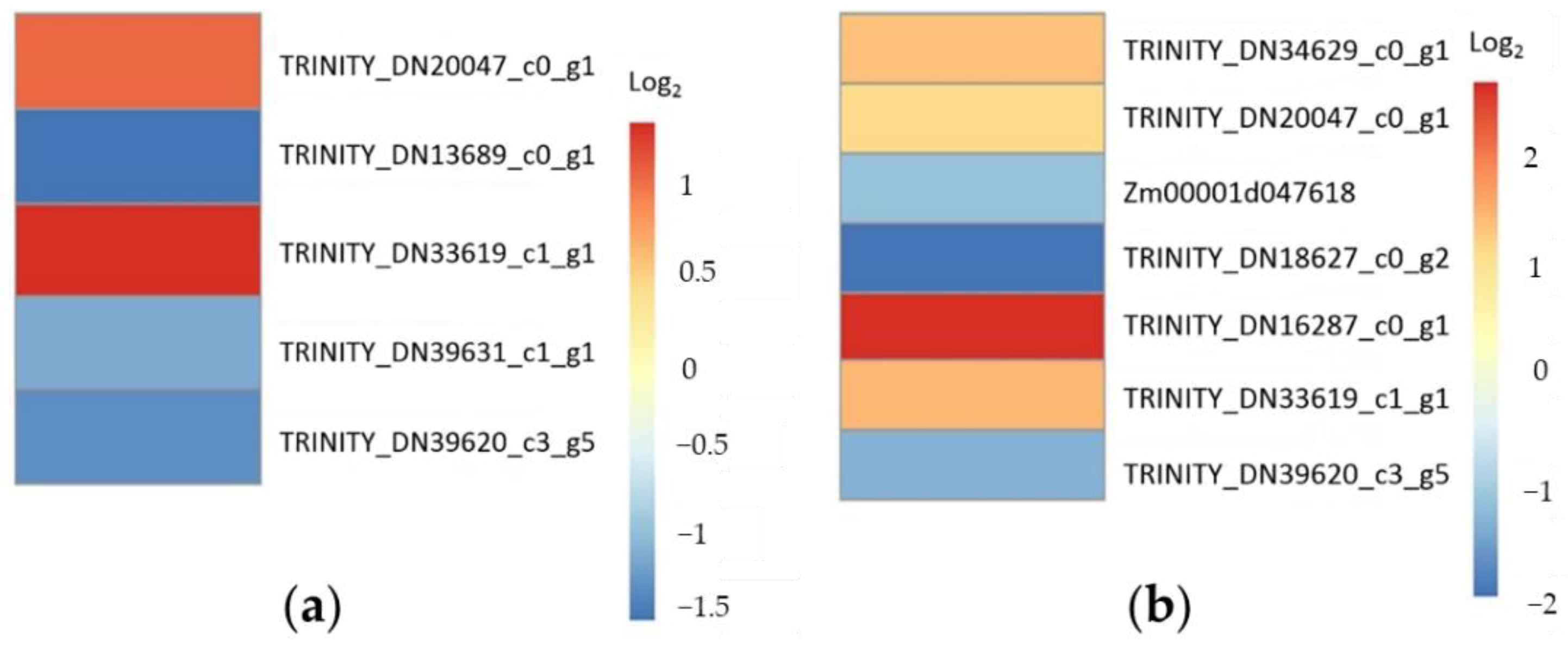 Plants 11 03242 g004