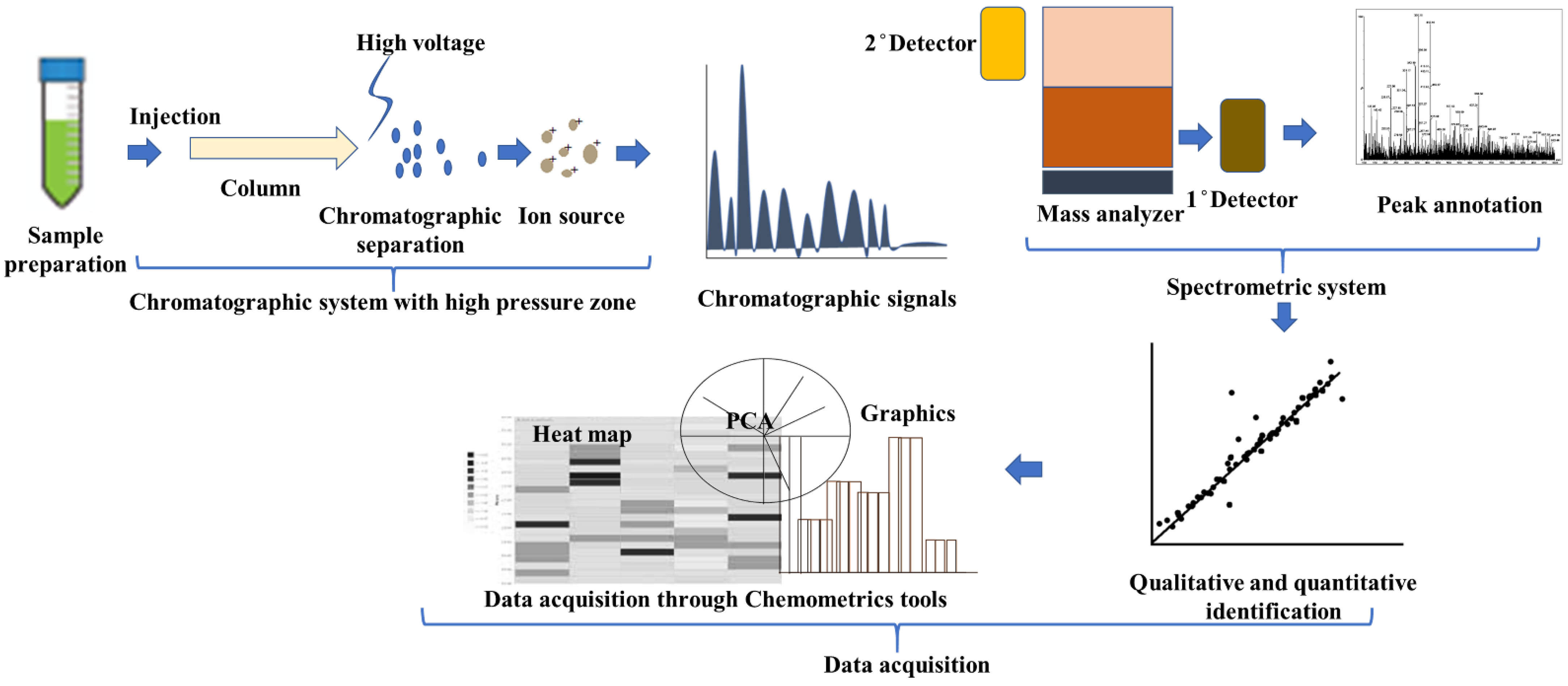 Plants 11 03243 g001