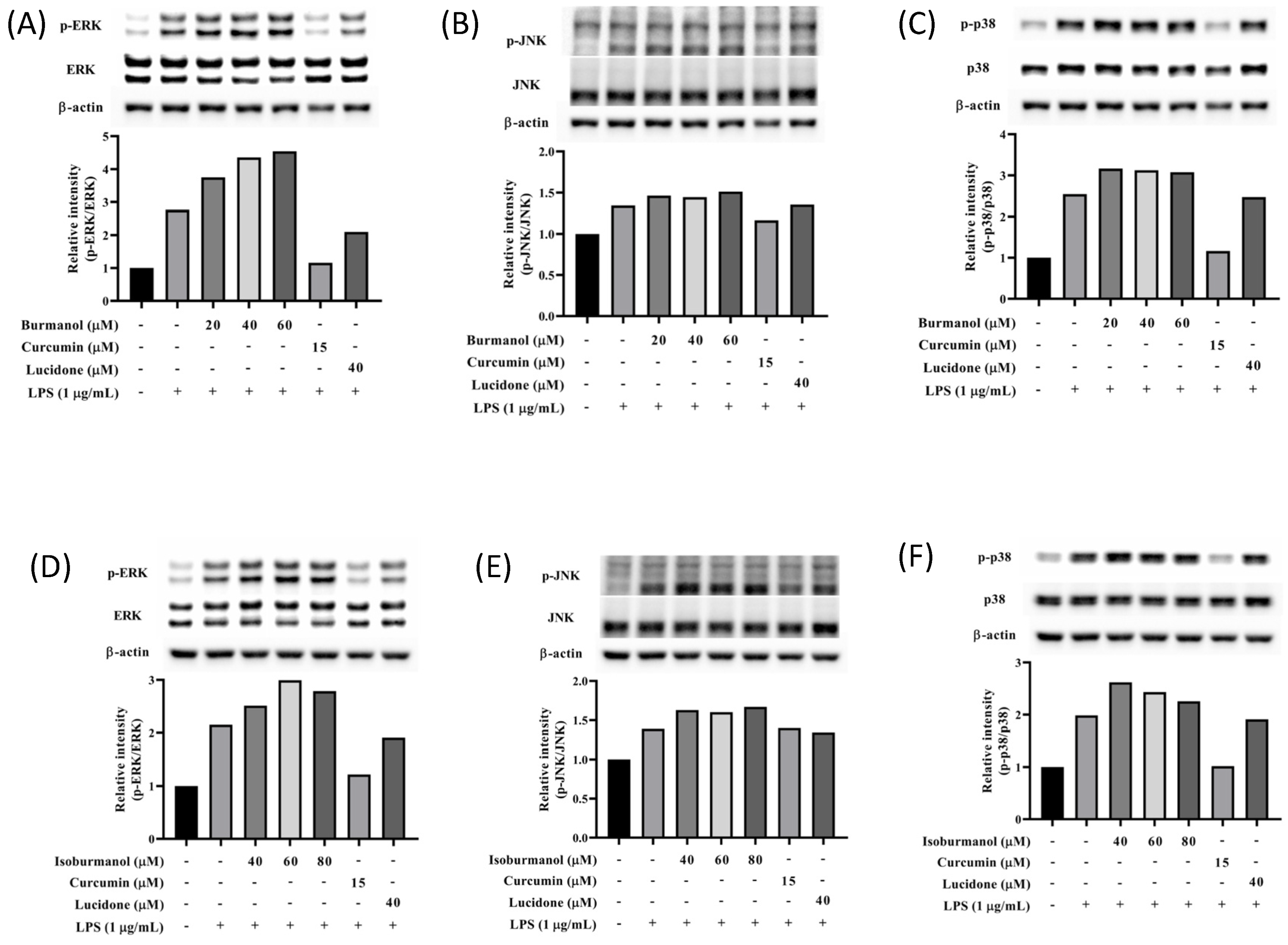 Plants 11 03252 g010 Plants 11 03252 g010