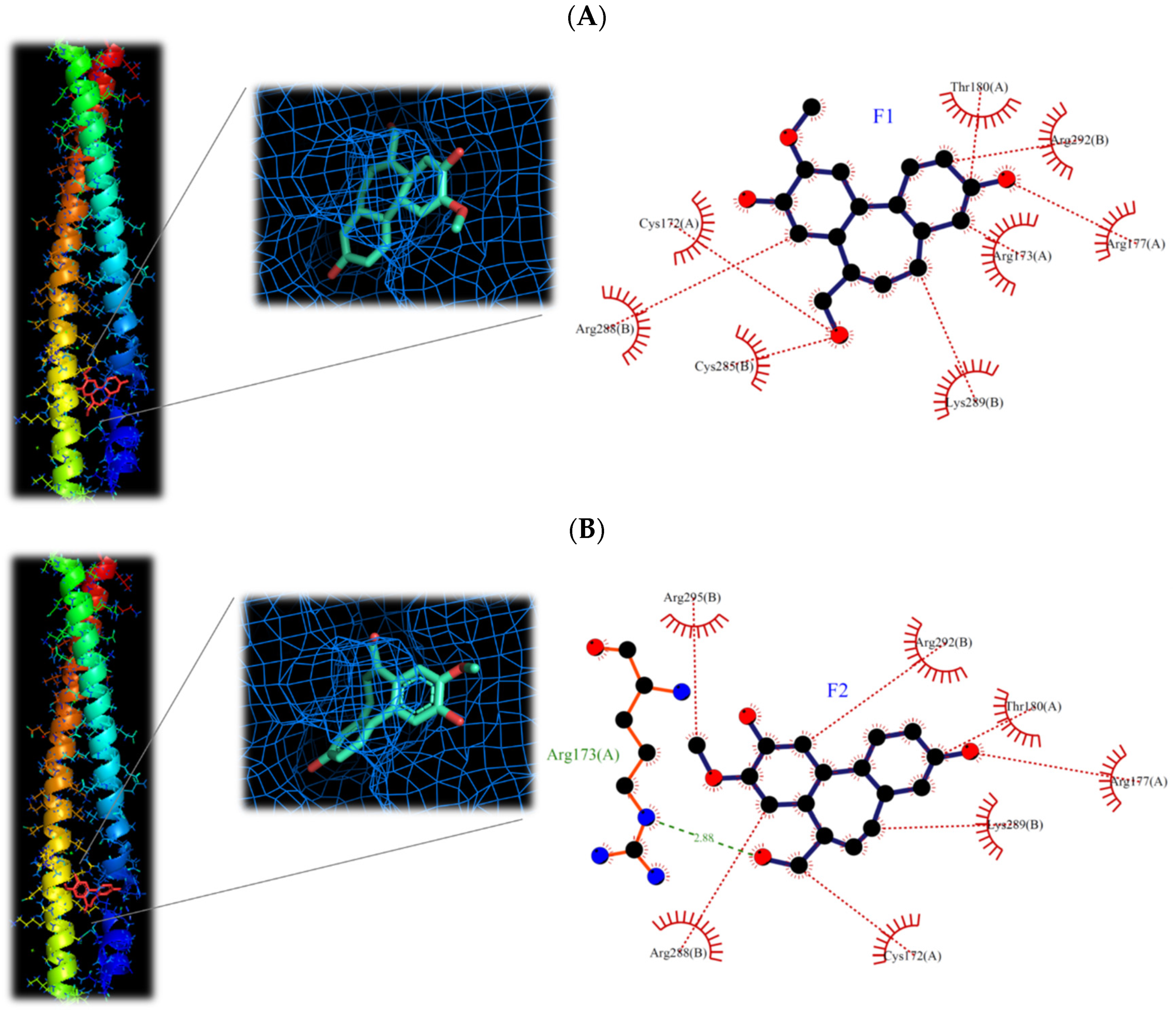 Plants 11 03252 g011 Plants 11 03252 g011