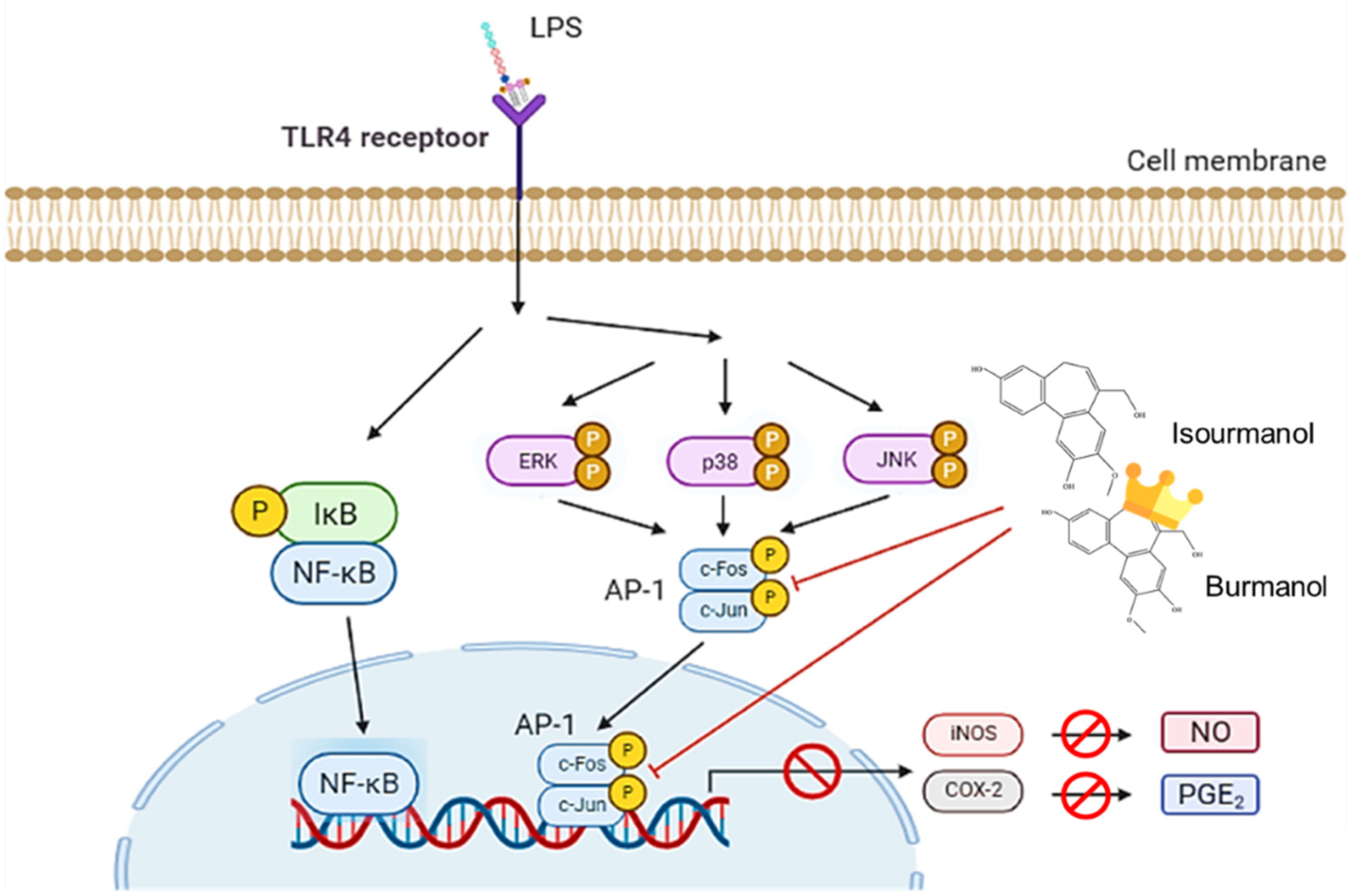 Plants 11 03252 g012 Plants 11 03252 g012