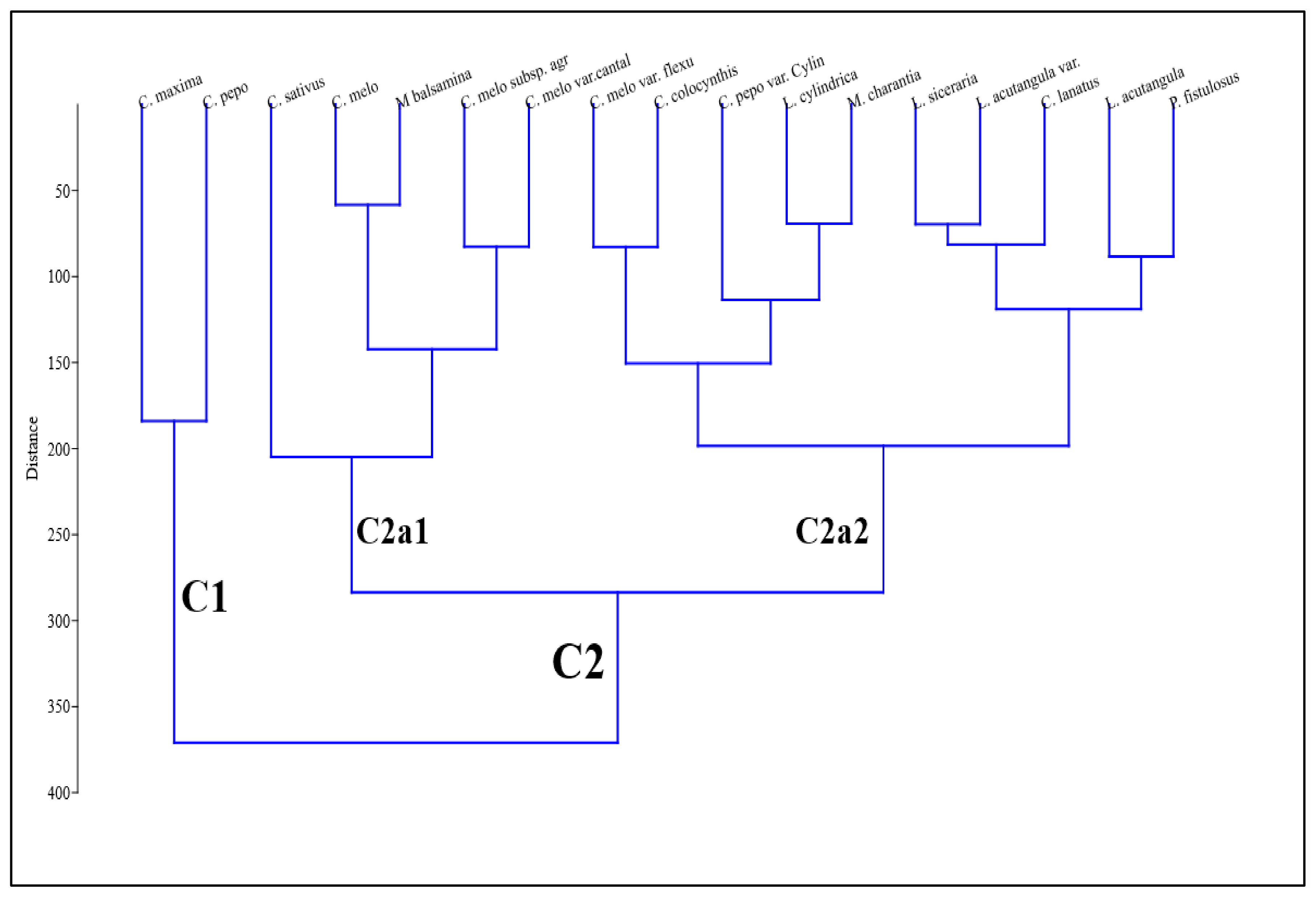 Plants 11 03273 g010 Plants 11 03273 g010