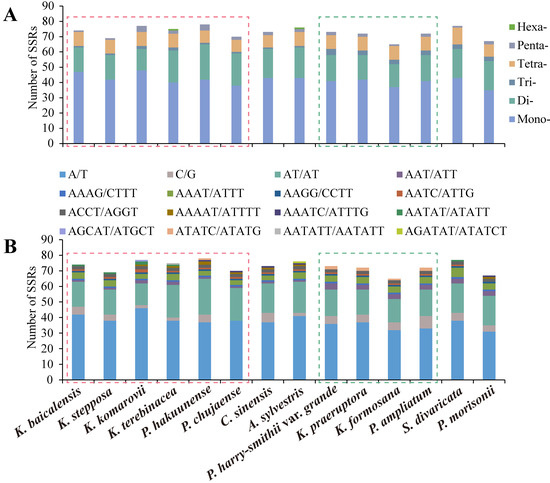 Phylogeny and diversification of genus Sanicula L. (Apiaceae