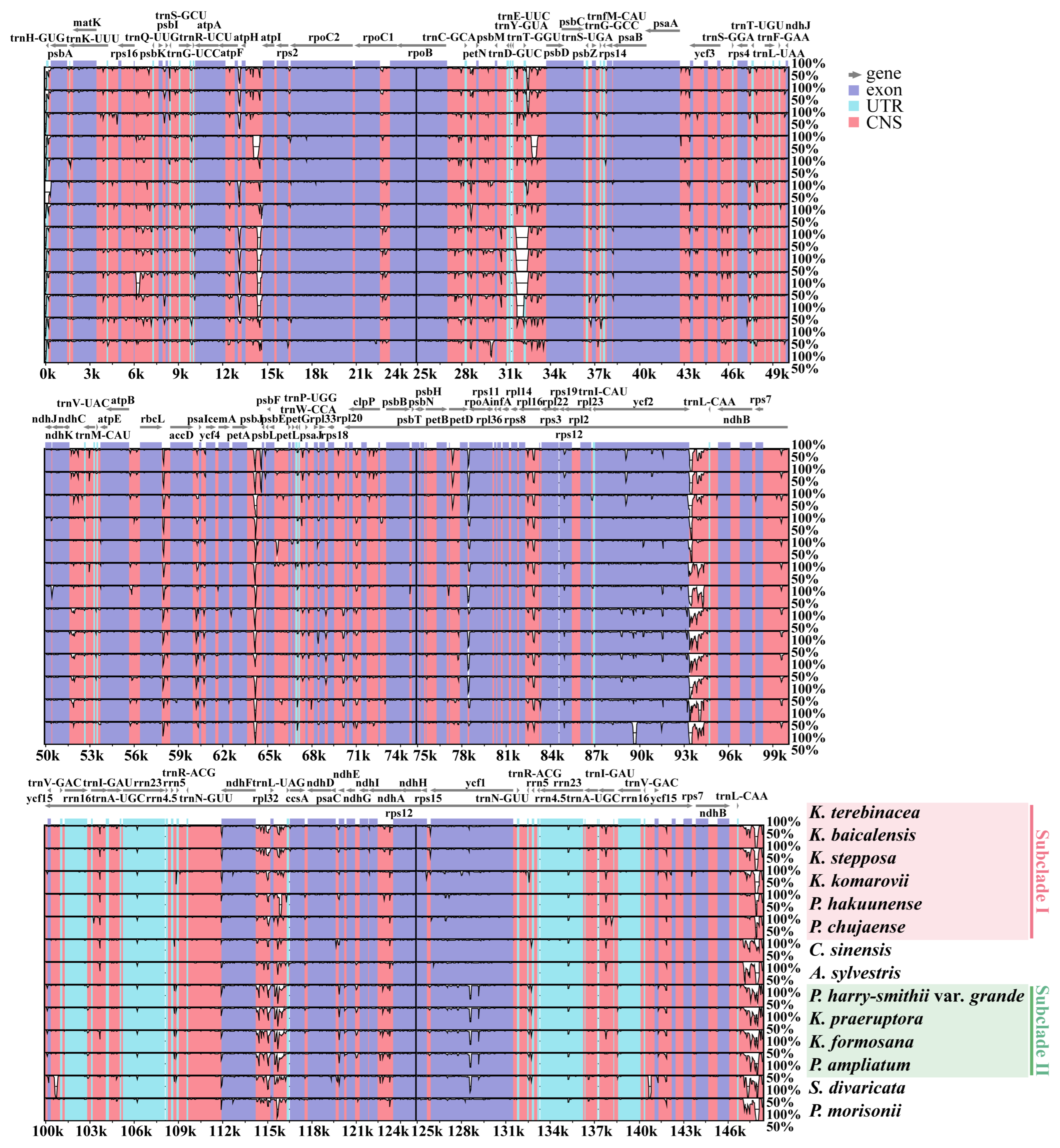 Evidence from Phylogenomics and Morphology Provide Insights