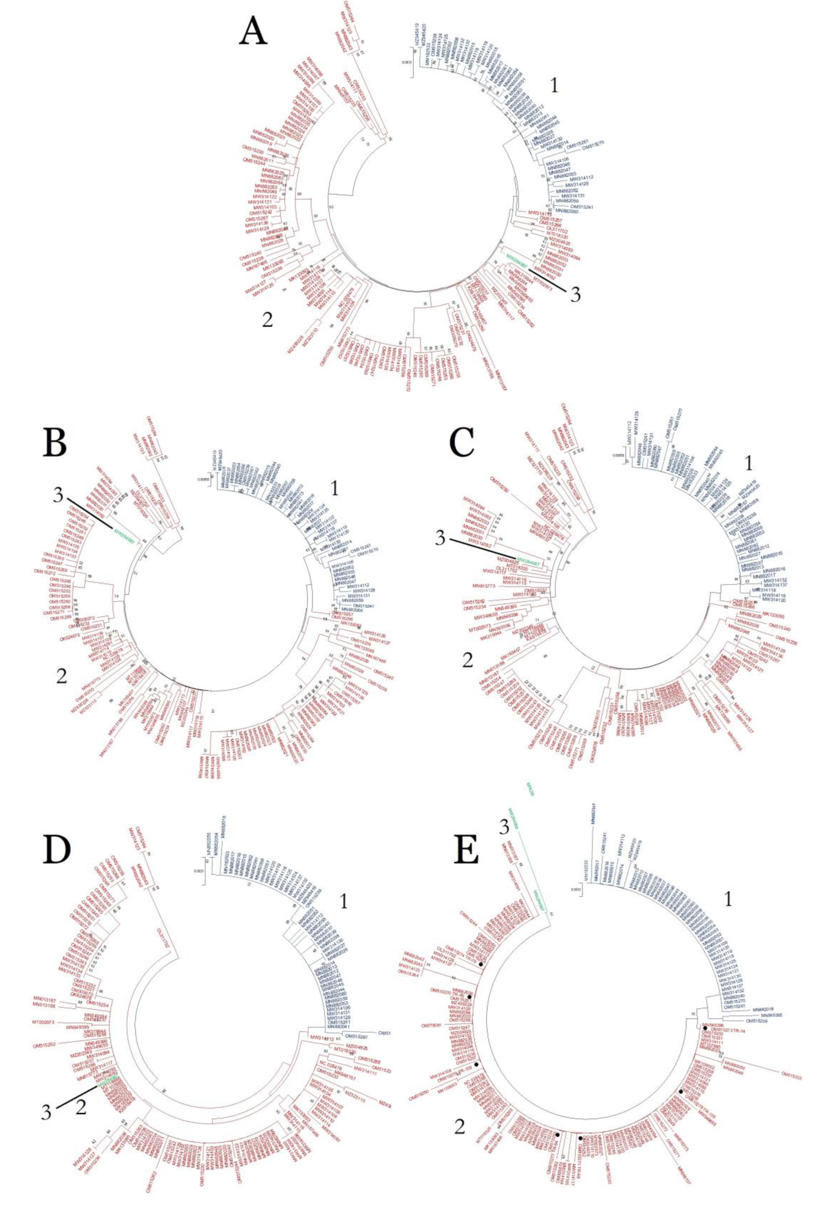 Plants 11 03279 g002