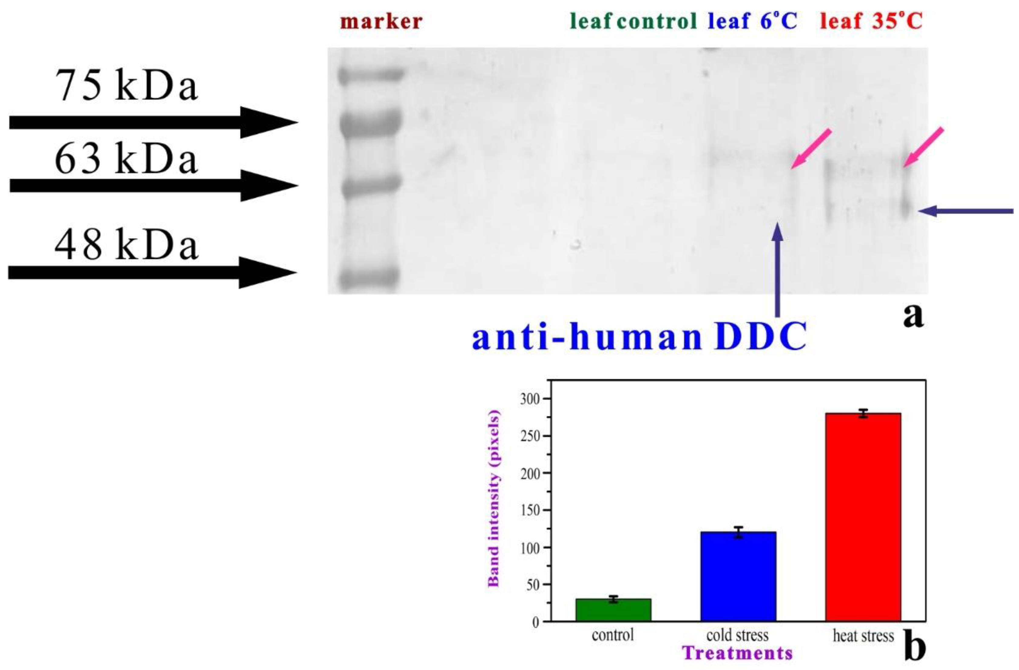 Plants 11 03290 g005