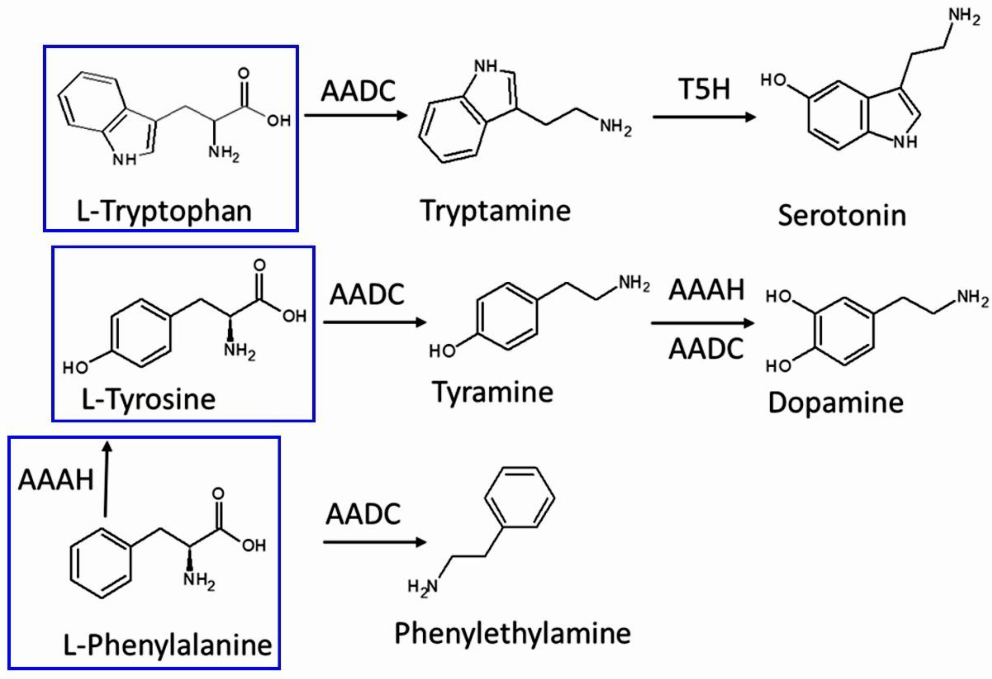 Plants 11 03290 g008