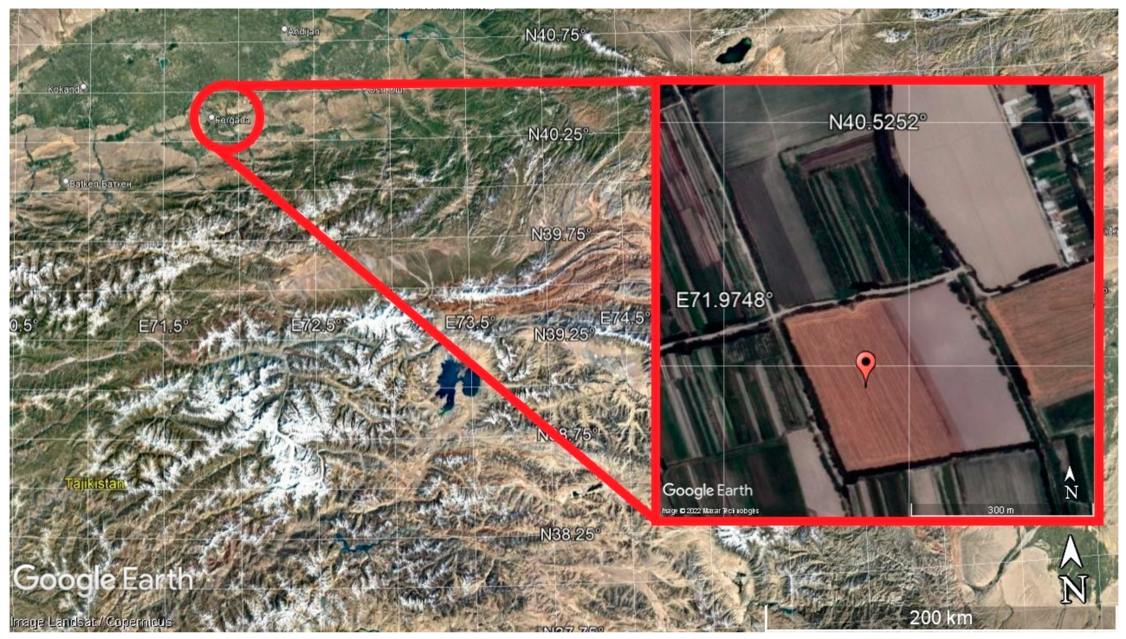 Plants 11 03291 g001