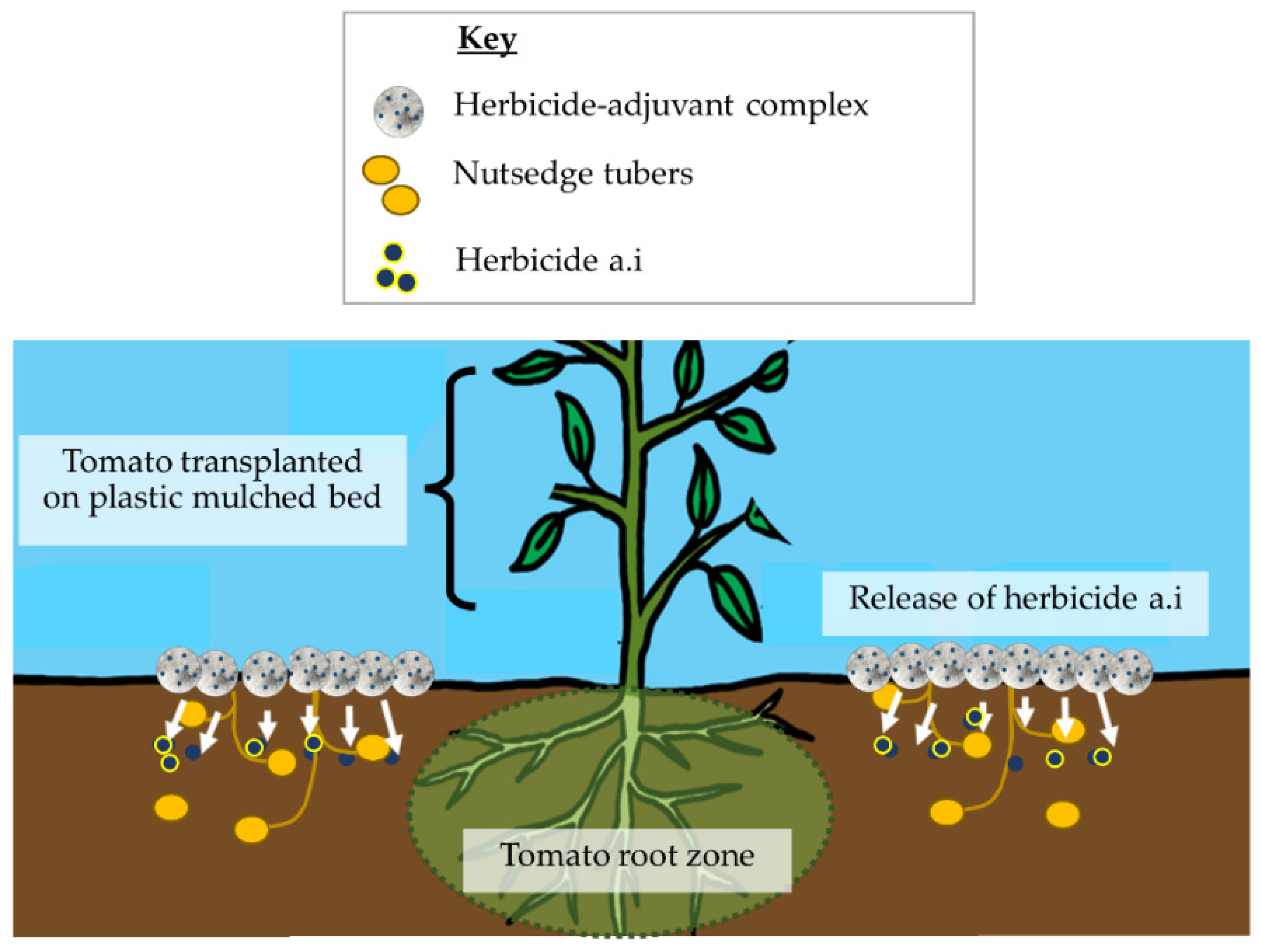 Plants 11 03292 g002