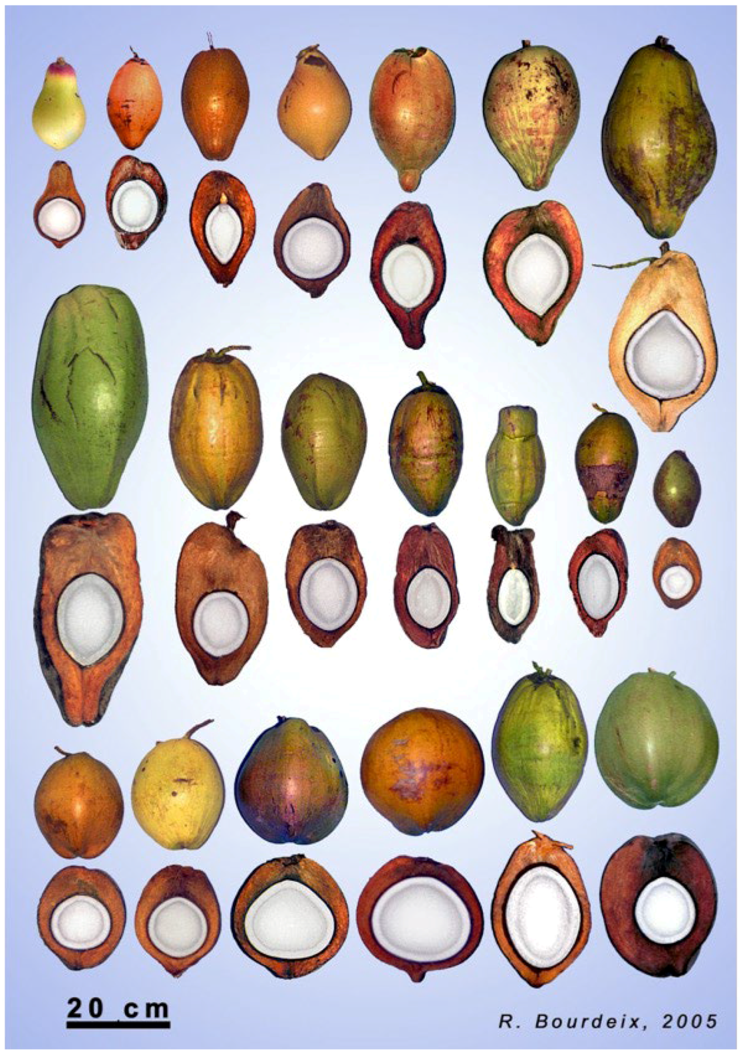 Plants 11 03293 g002