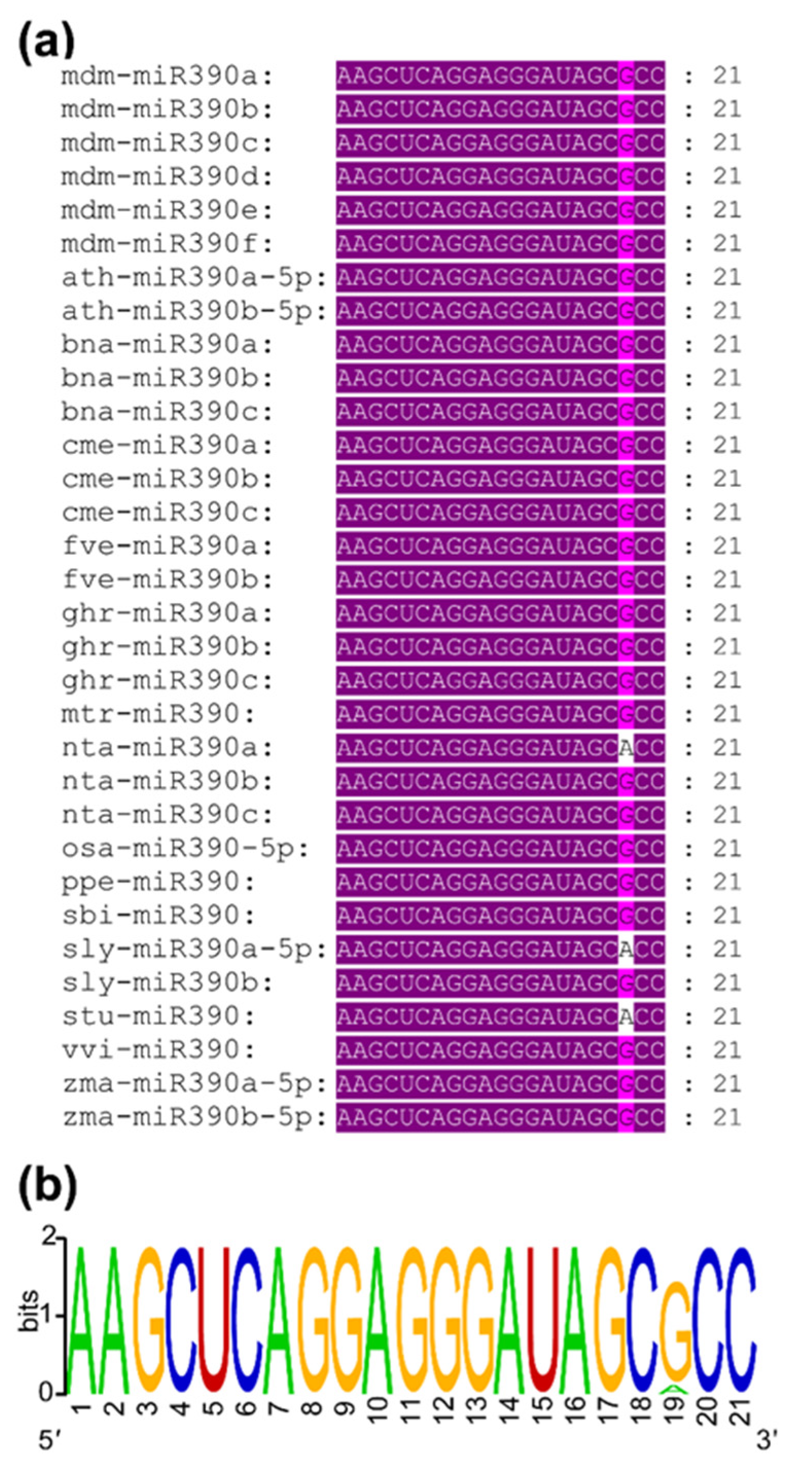 Plants 11 03299 g002