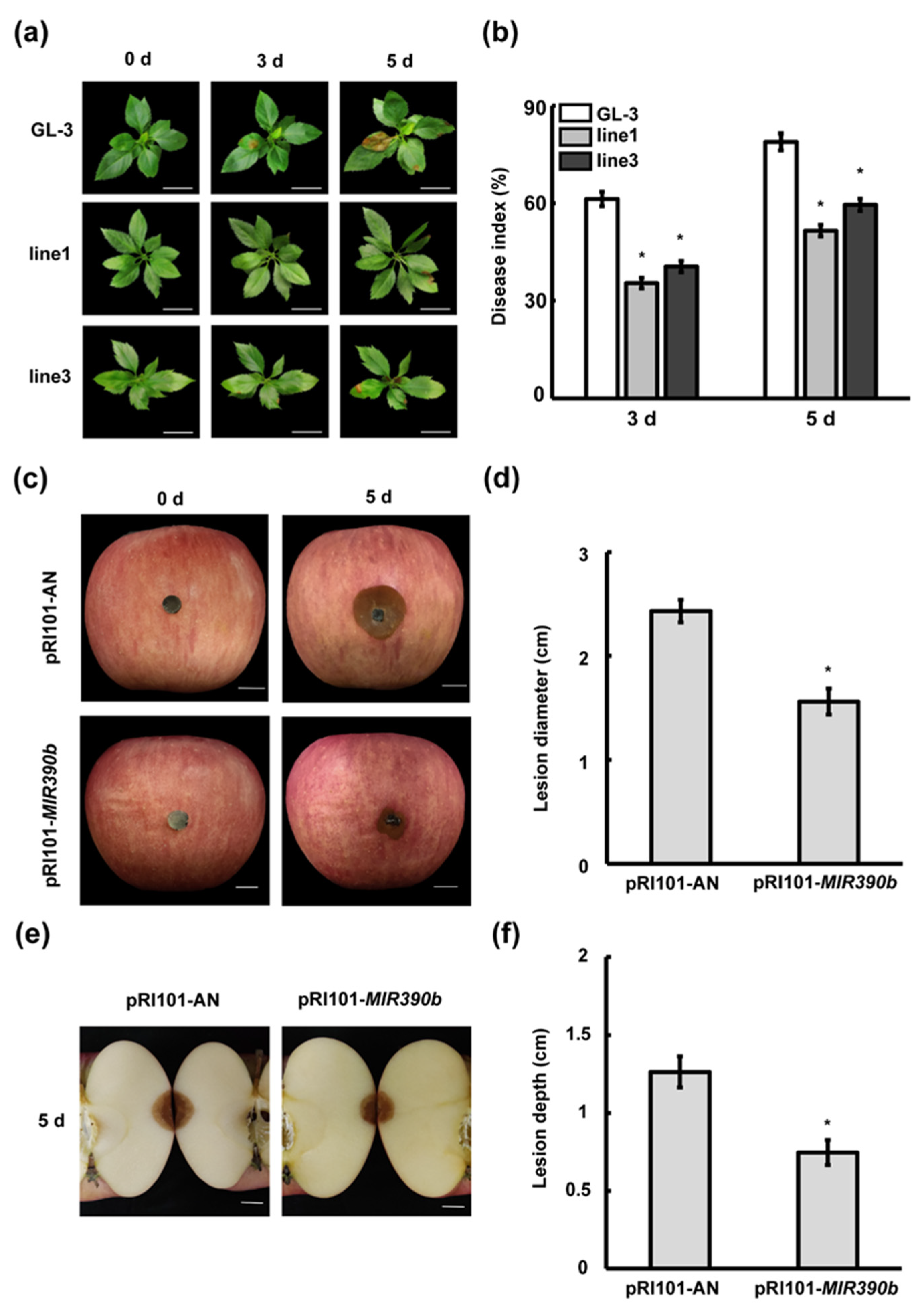 Plants 11 03299 g005