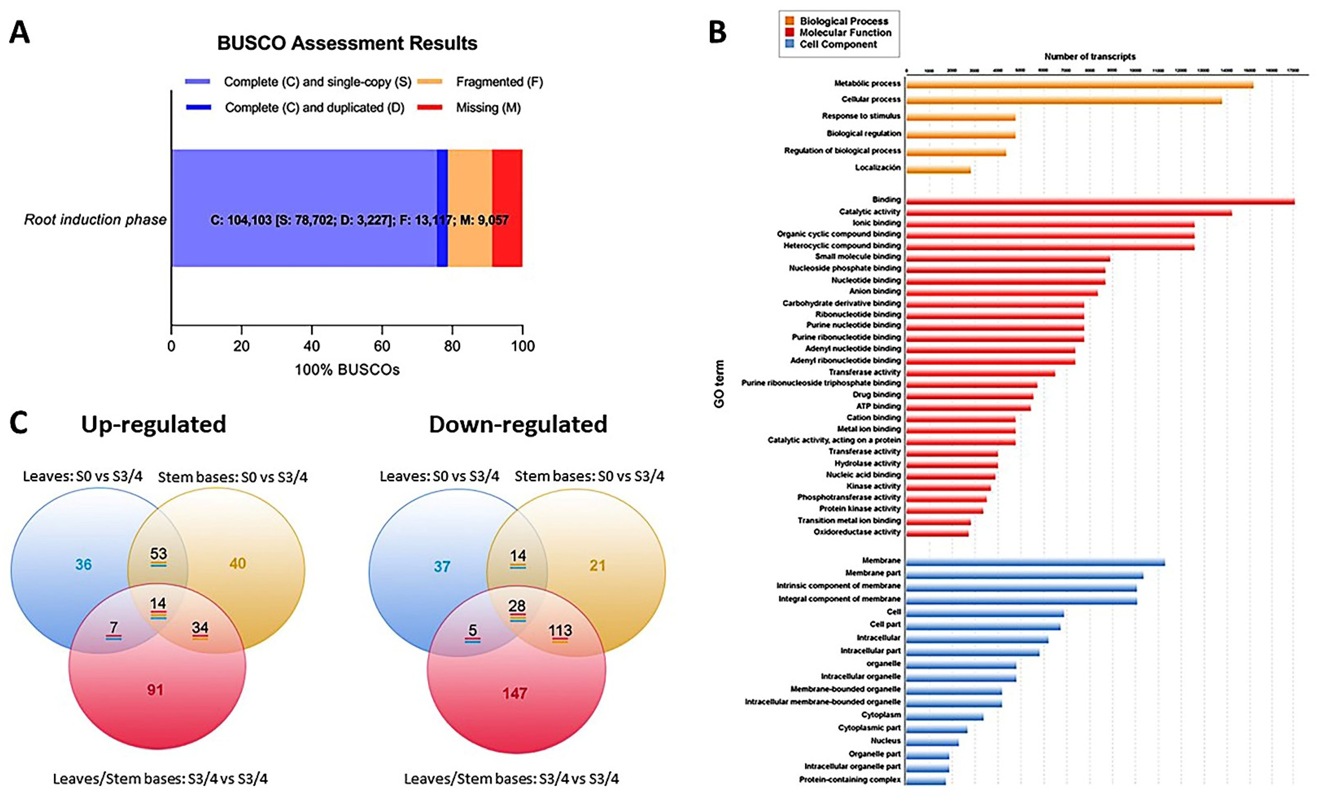 Plants 11 03301 g004 Plants 11 03301 g004