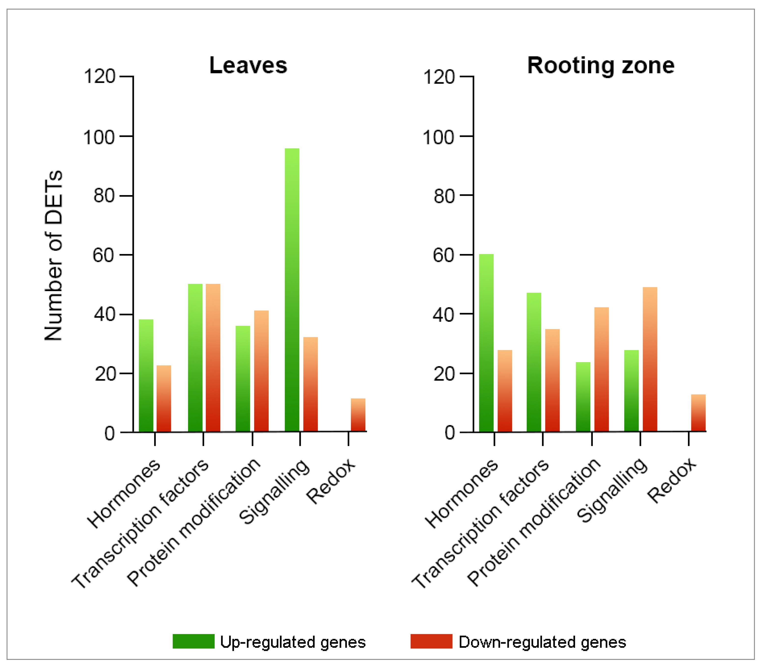 Plants 11 03301 g005 Plants 11 03301 g005