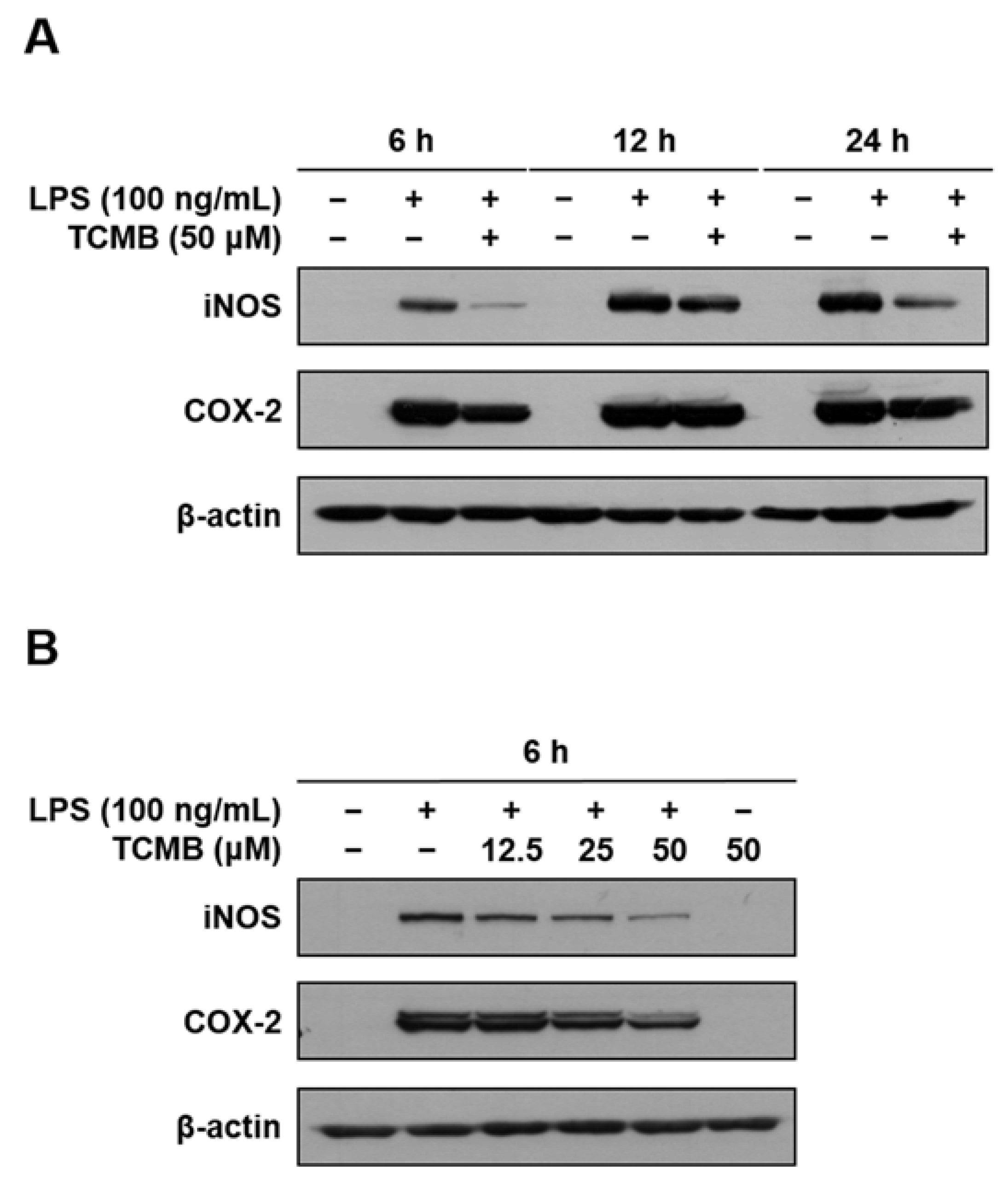 Plants 11 03307 g004 Plants 11 03307 g004