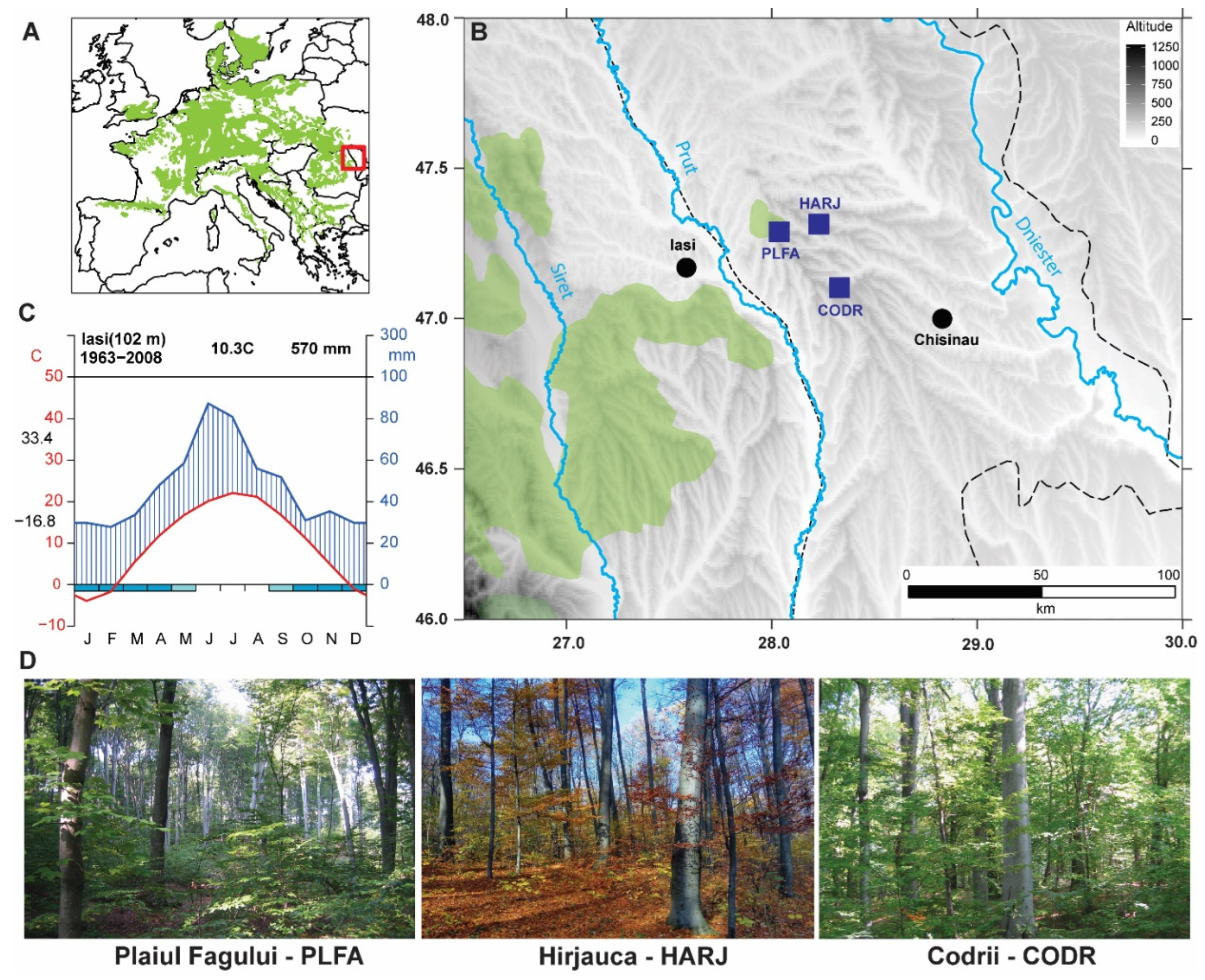 Plants 11 03310 g006 Plants 11 03310 g006