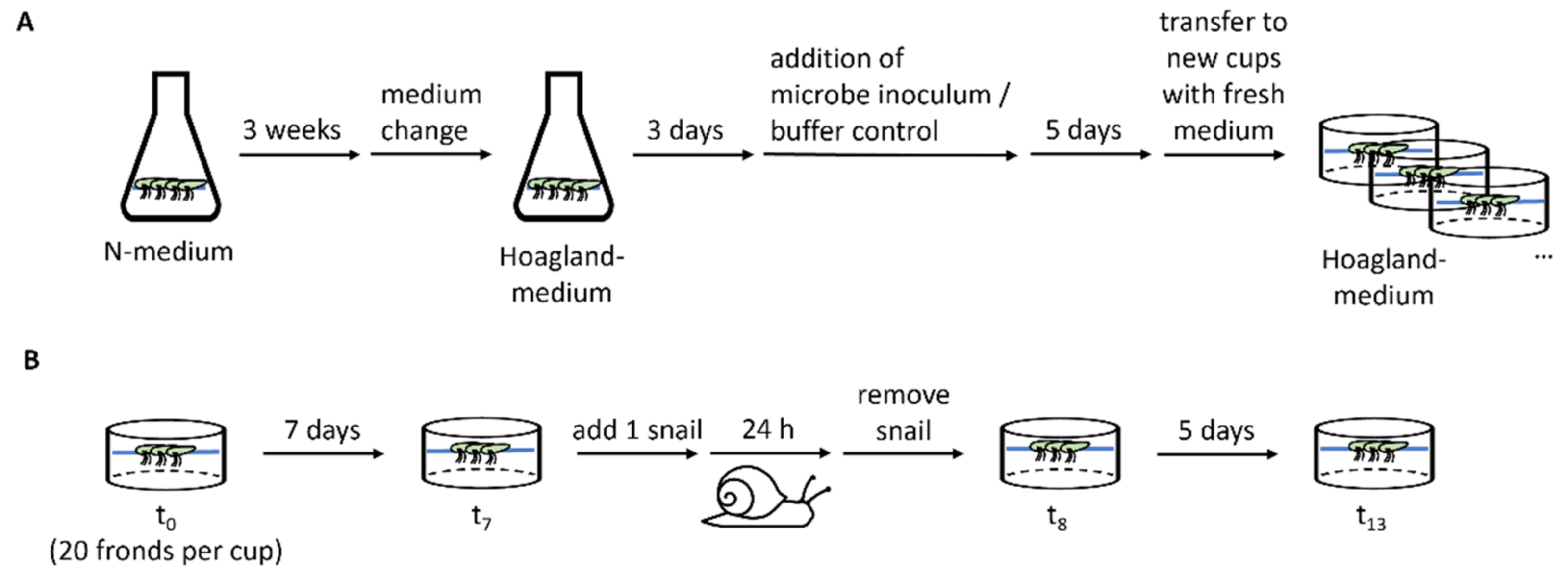 Plants 11 03317 g002