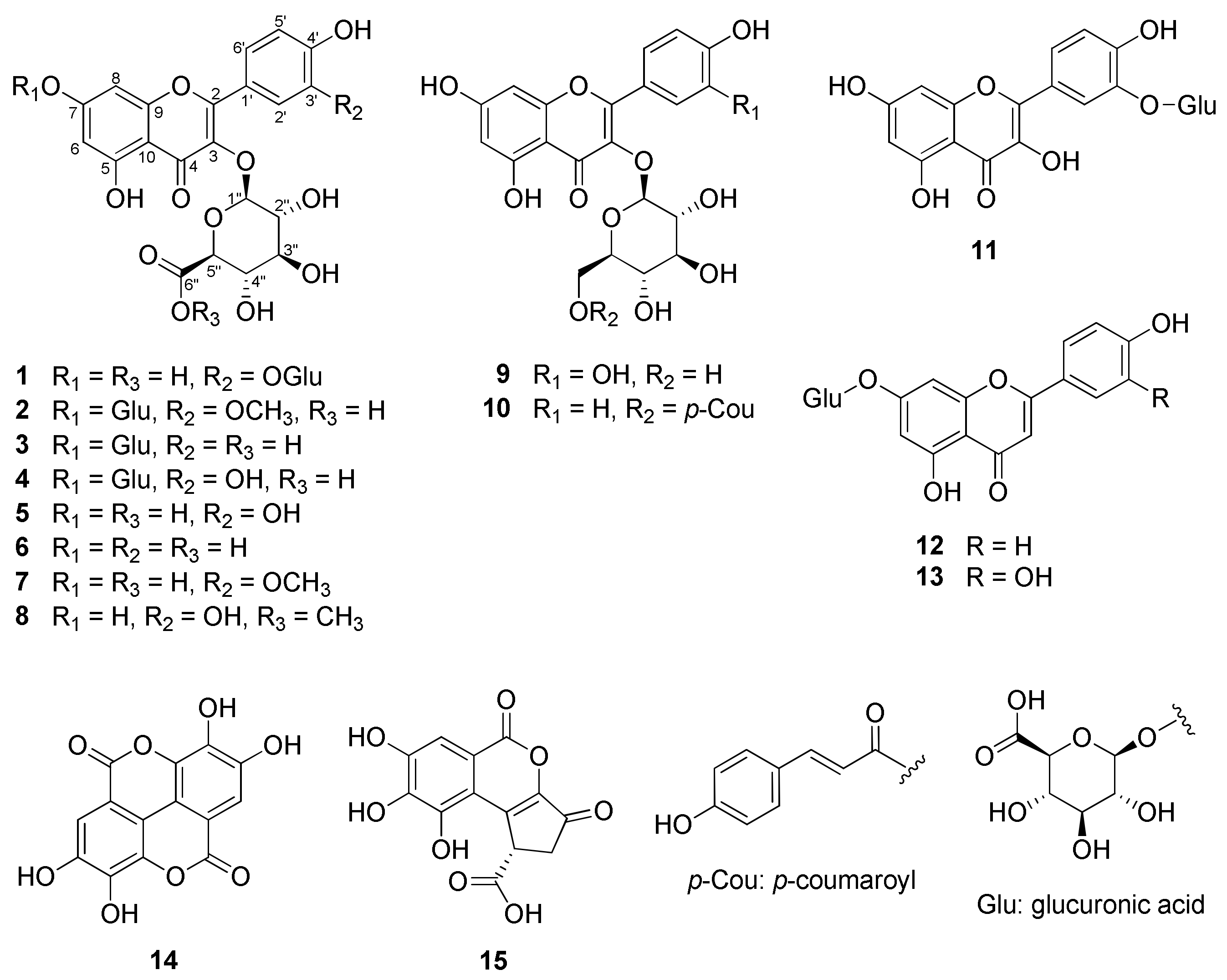 Plants 11 03318 g001 Plants 11 03318 g001