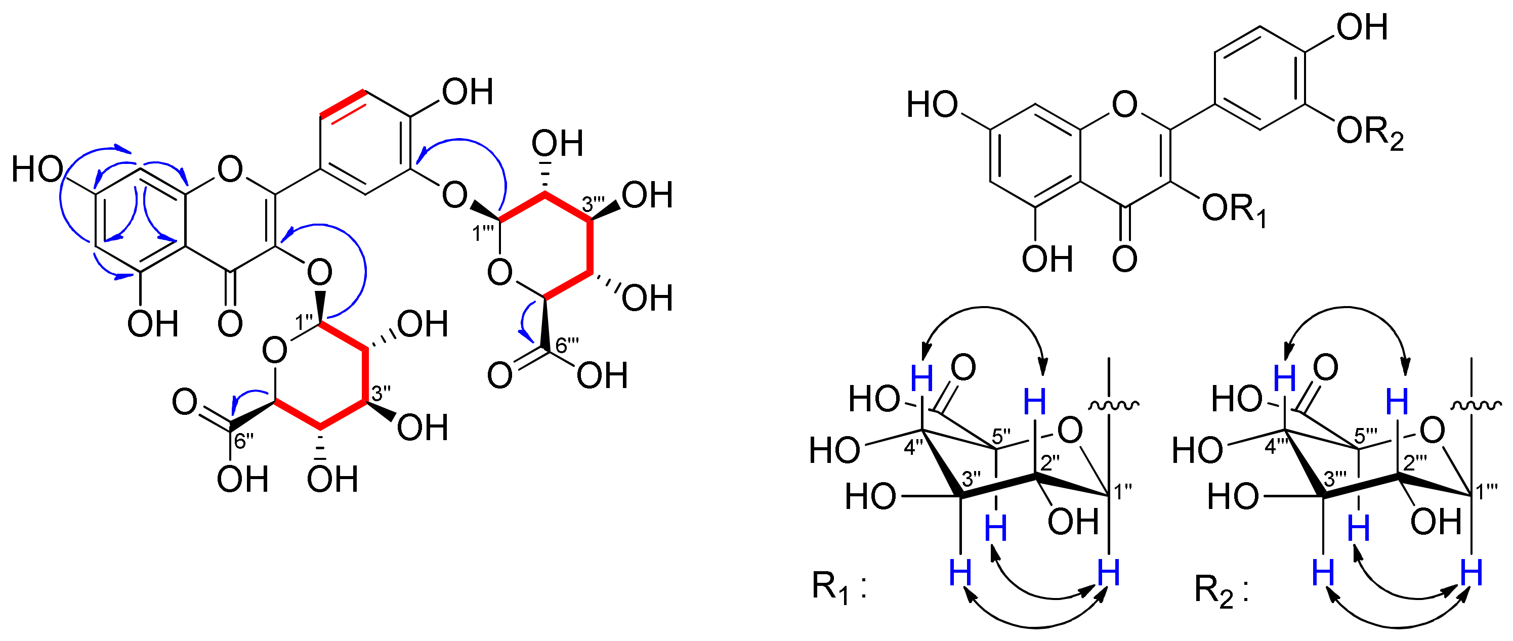 Plants 11 03318 g002 Plants 11 03318 g002