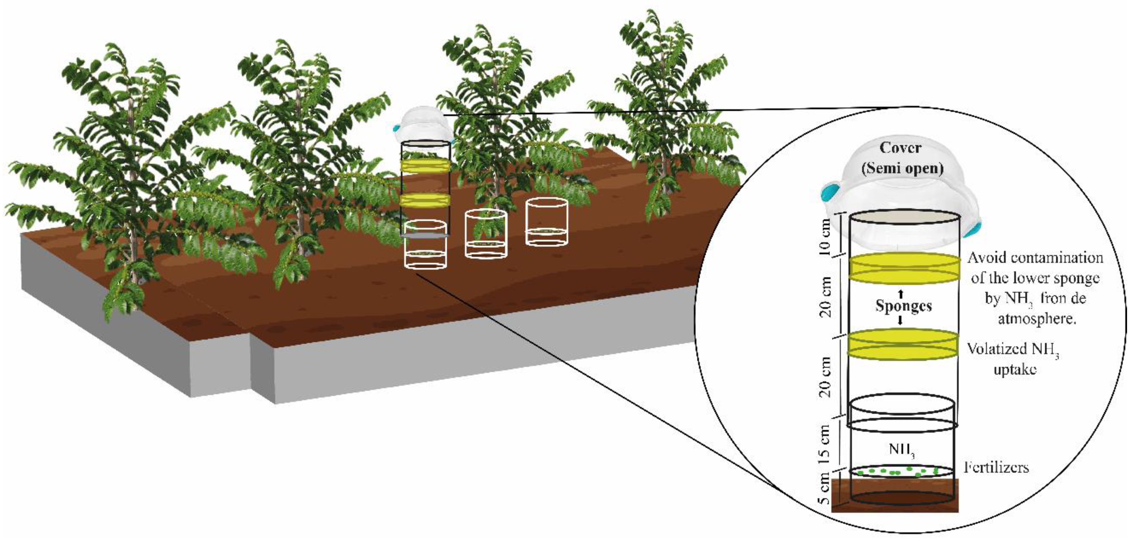 Plants 11 03323 g002