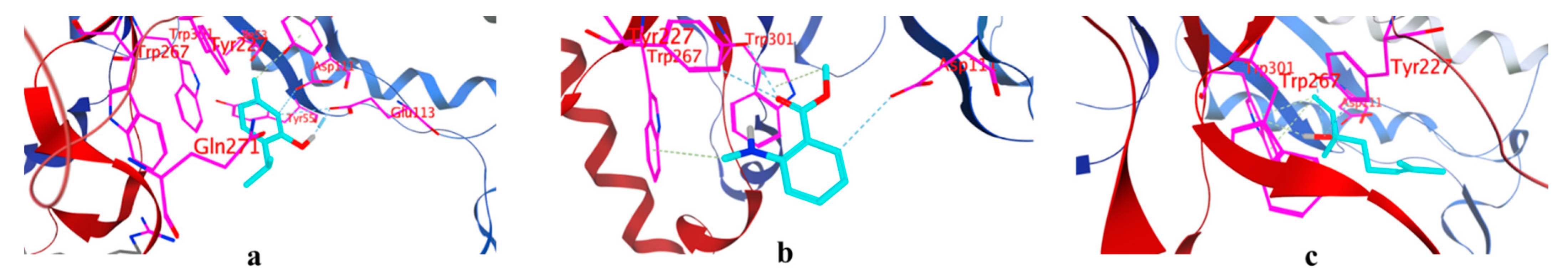 Plants 11 03335 g004 Plants 11 03335 g004