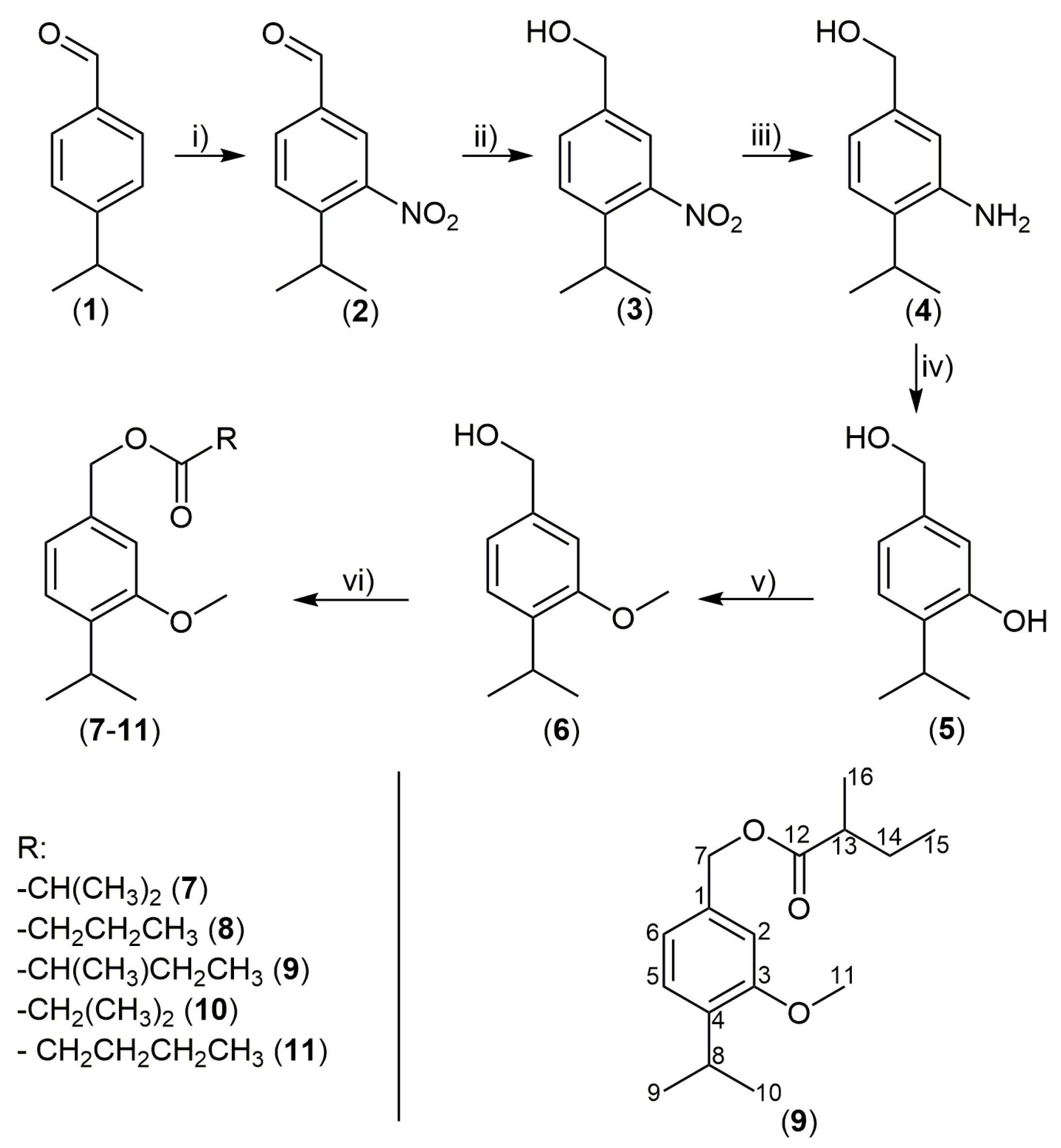 Plants 11 03340 g001