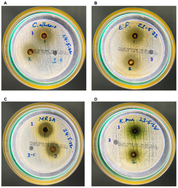 Plants 11 03341 g002 Plants 11 03341 g002