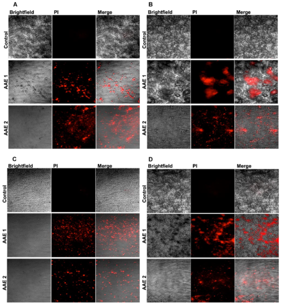 Plants 11 03341 g003 Plants 11 03341 g003
