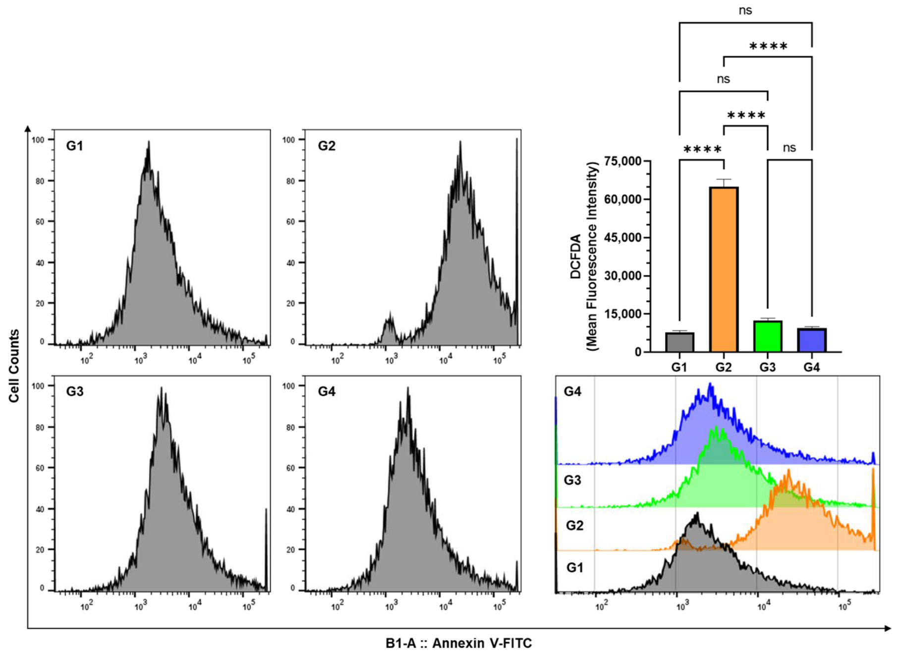 Plants 11 03341 g007 Plants 11 03341 g007