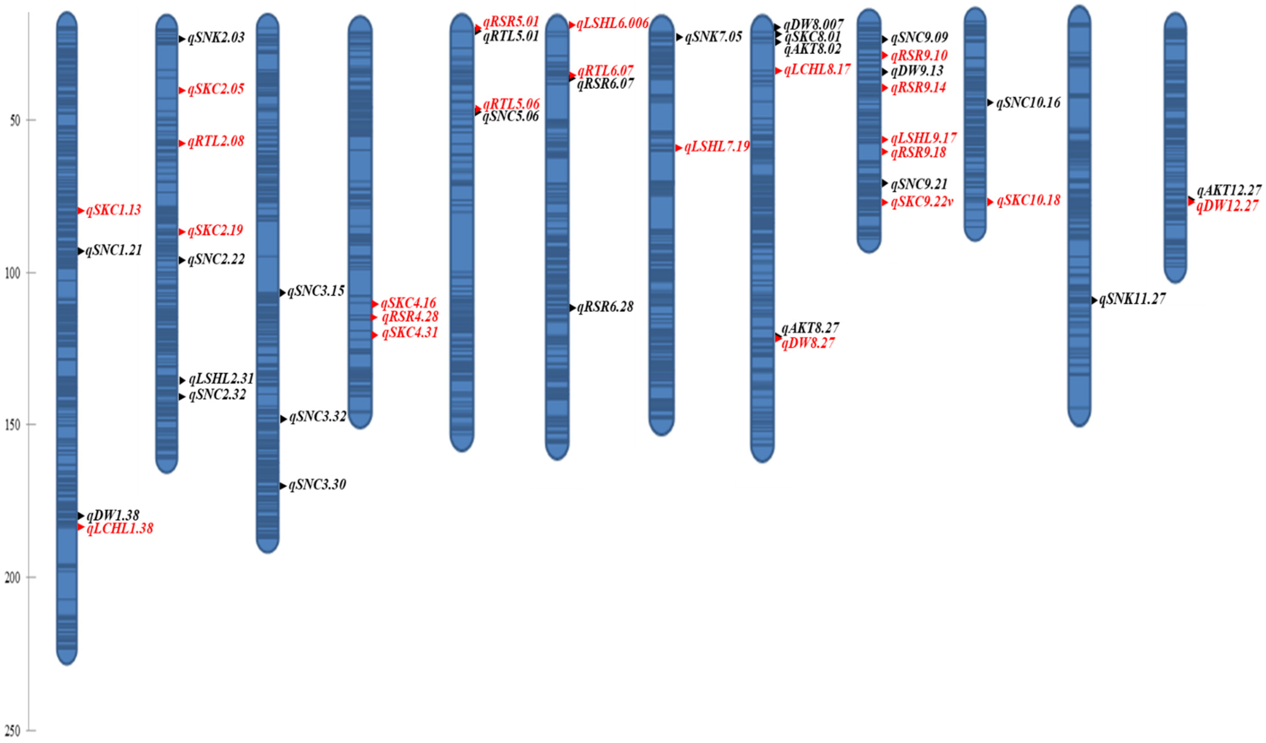 Plants 11 03347 g004