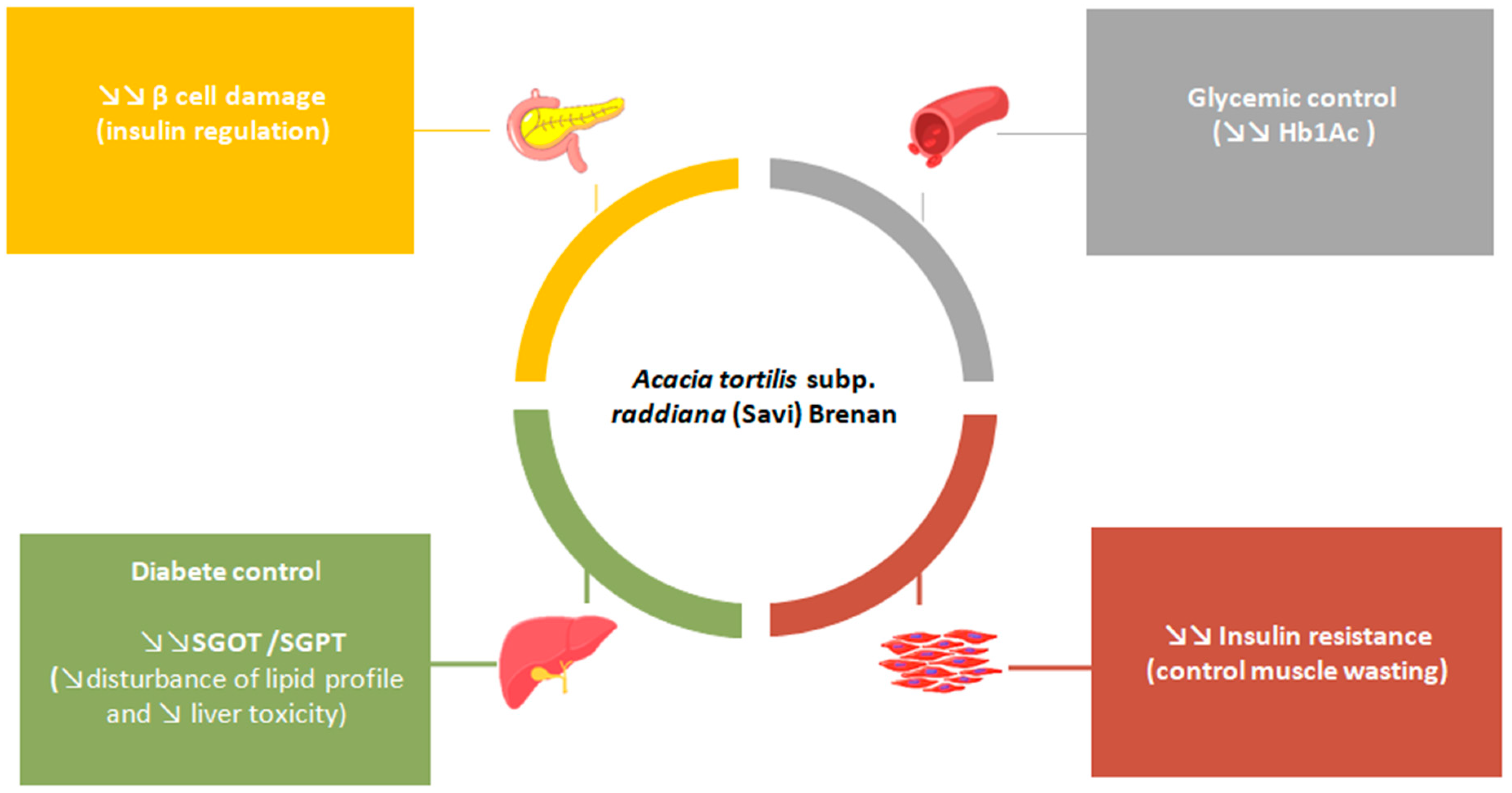 Plants 11 03348 g006 Plants 11 03348 g006