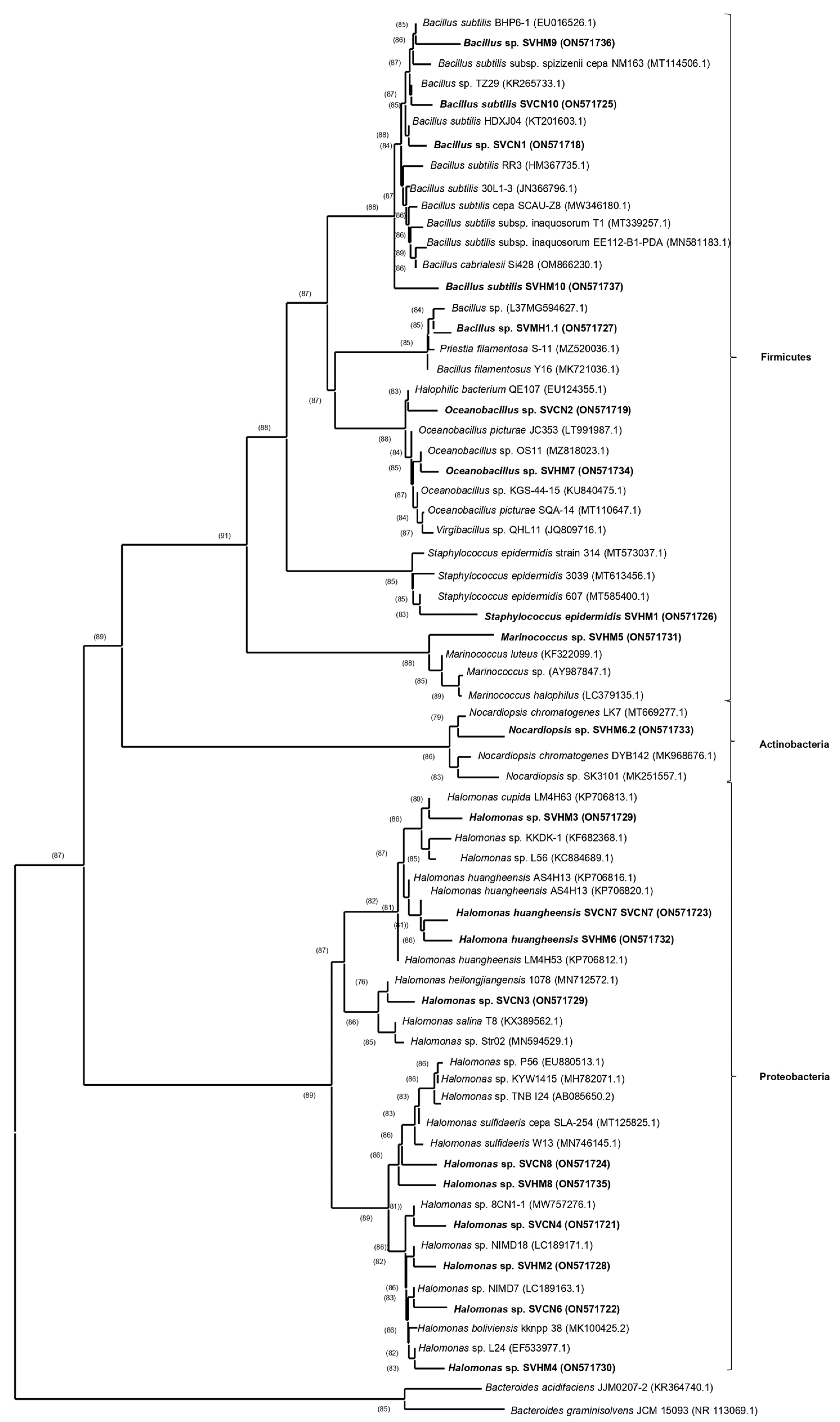 Plants 11 03355 g001 Plants 11 03355 g001