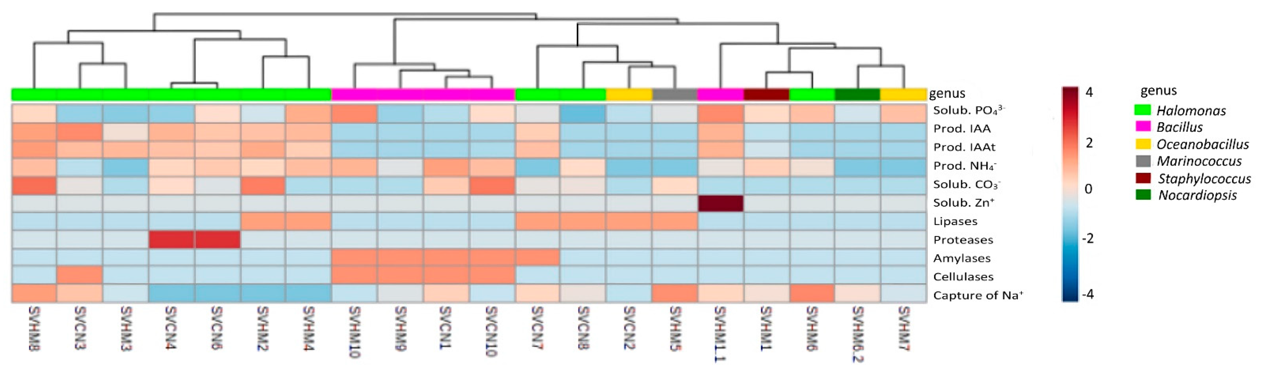 Plants 11 03355 g002 Plants 11 03355 g002