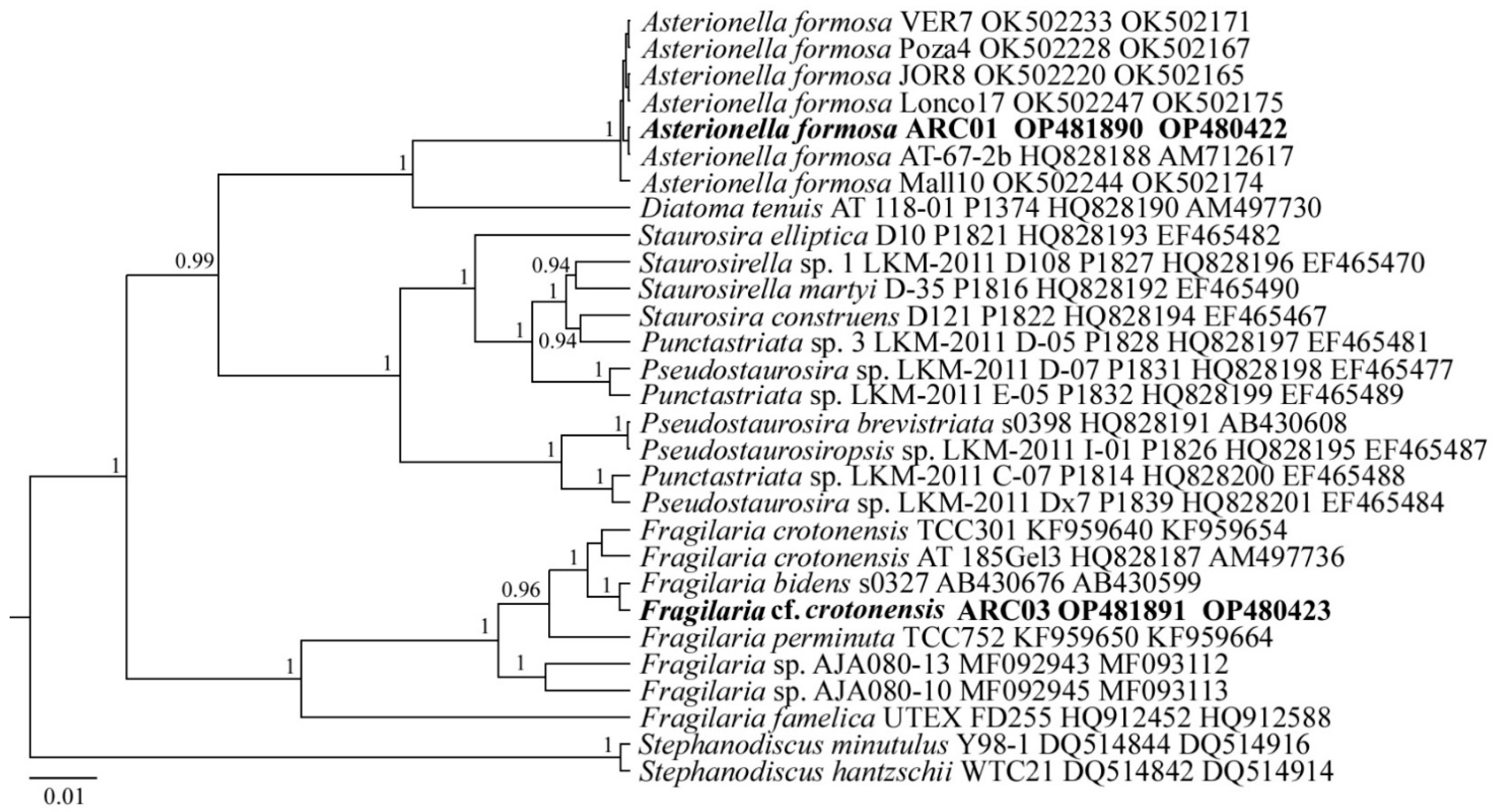 Plants 11 03361 g006