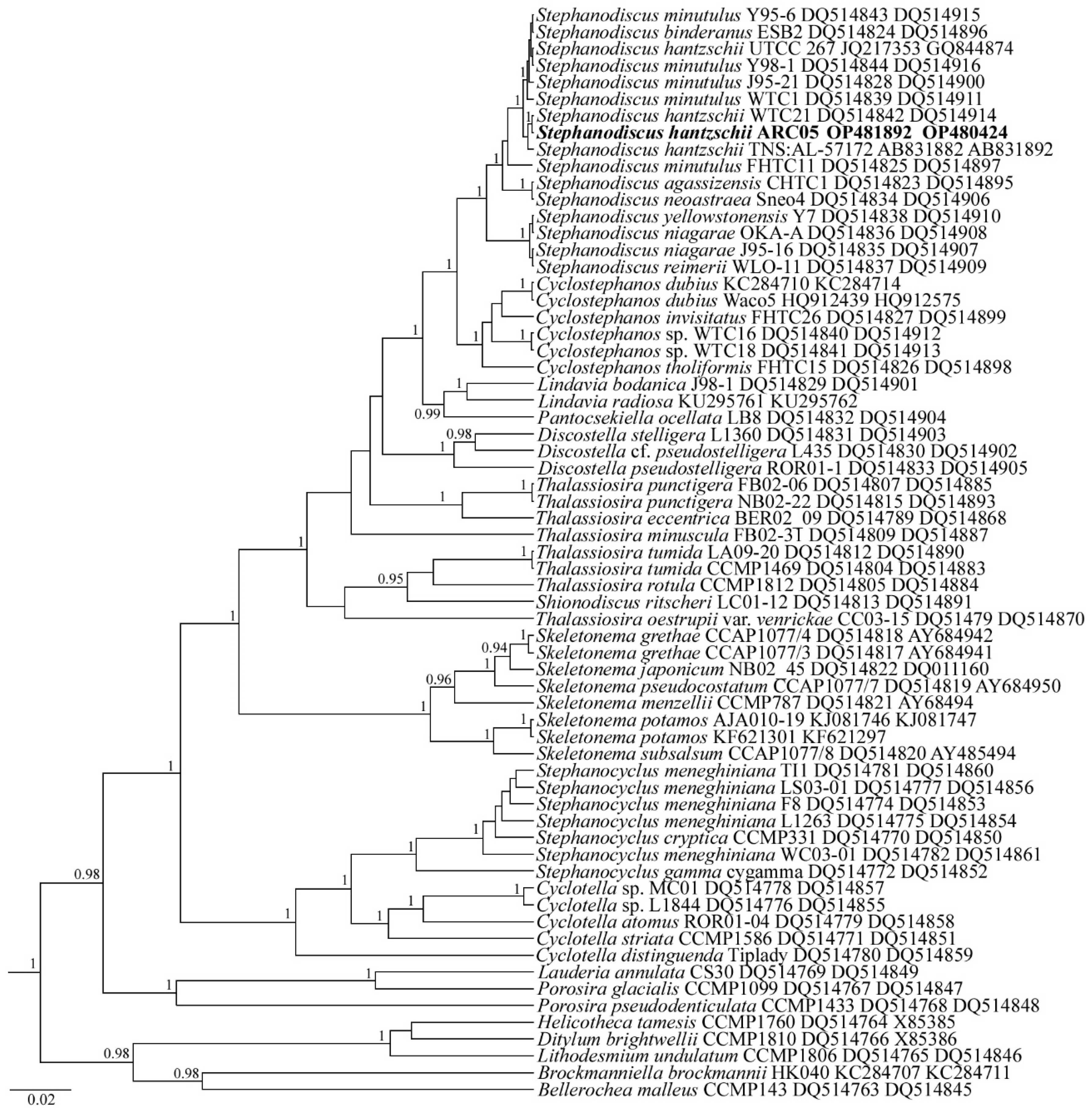 Plants 11 03361 g007