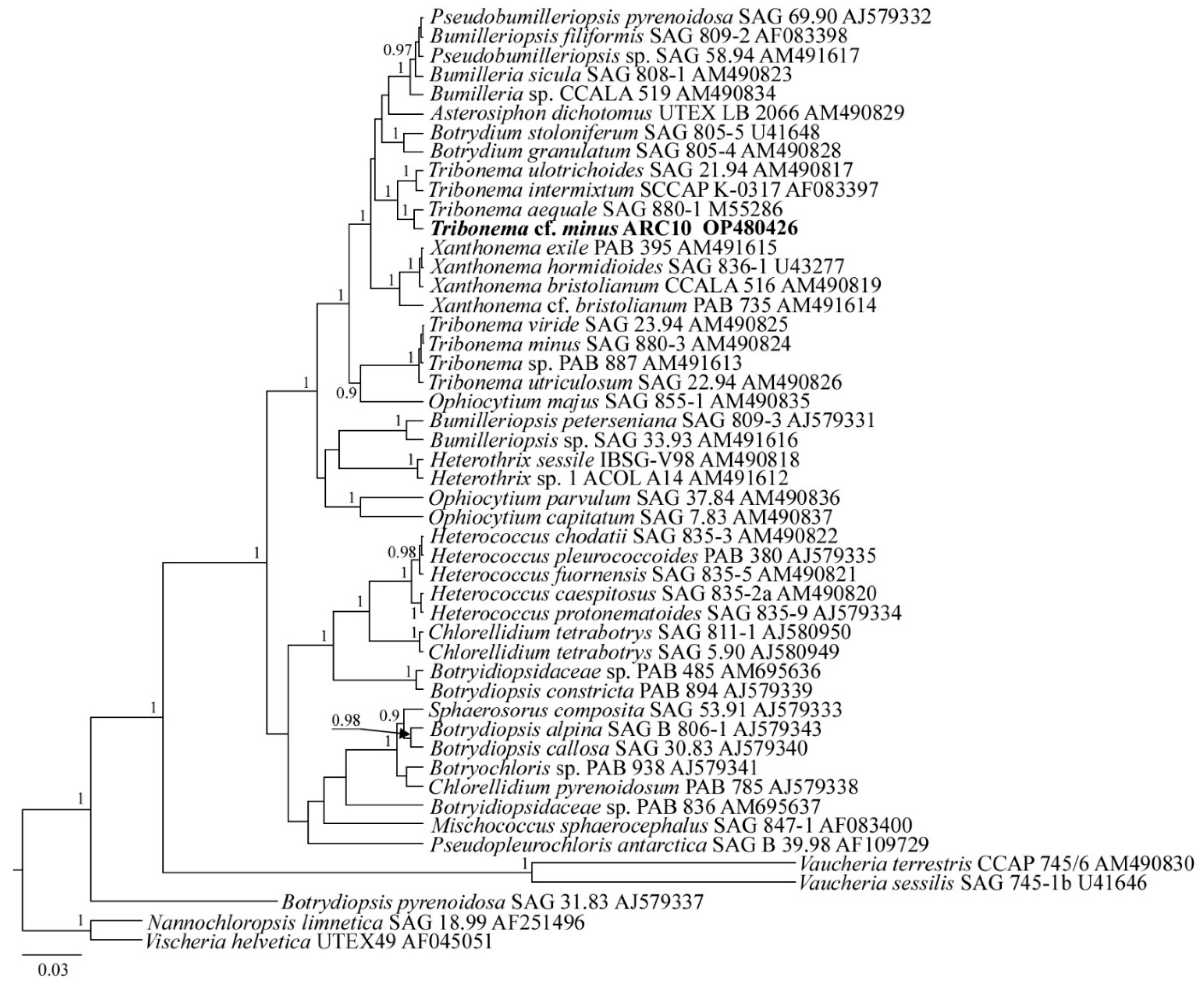 Plants 11 03361 g009